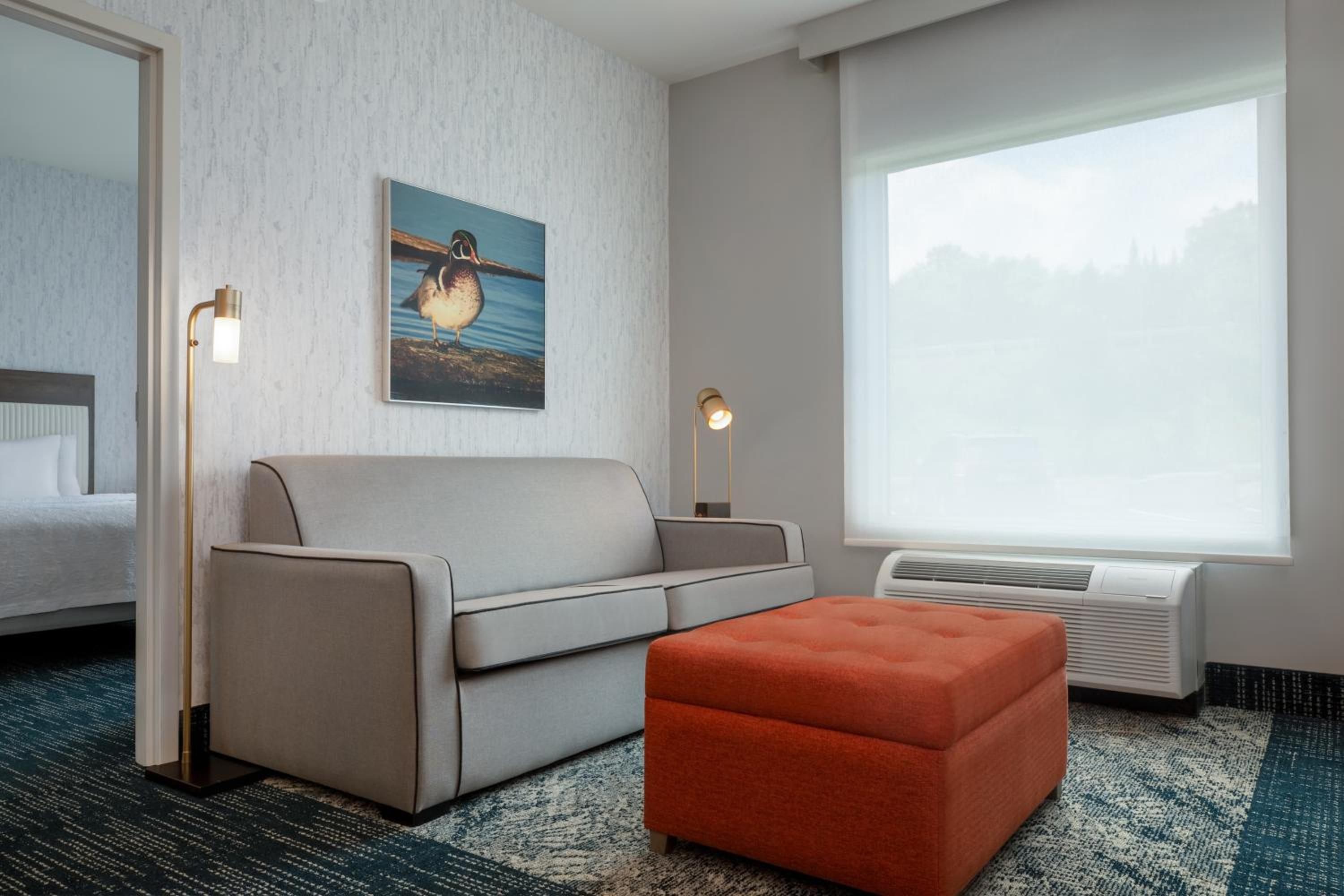 One-Bedroom Queen Suite with Sofa Bed - Photo 3