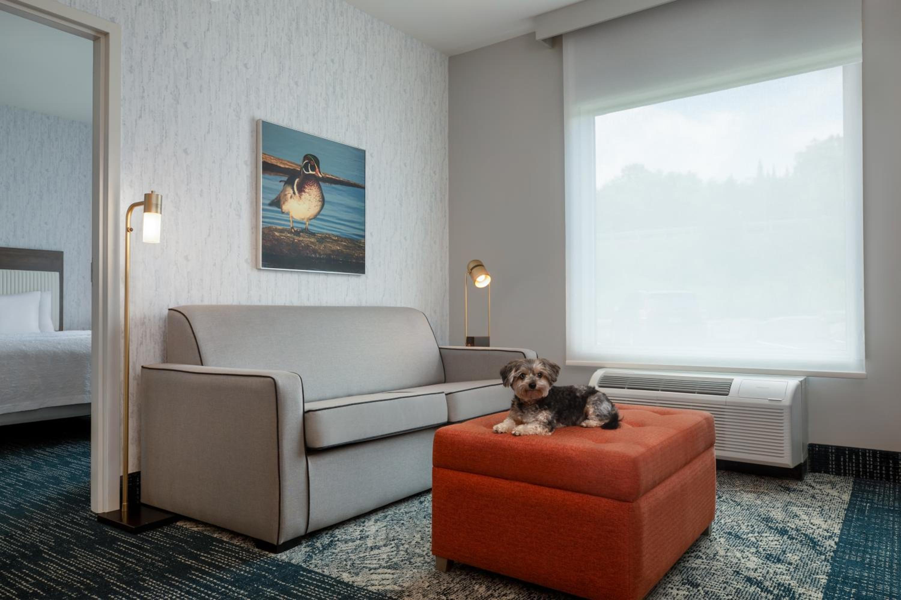 One-Bedroom Queen Suite with Sofa Bed - Photo 6
