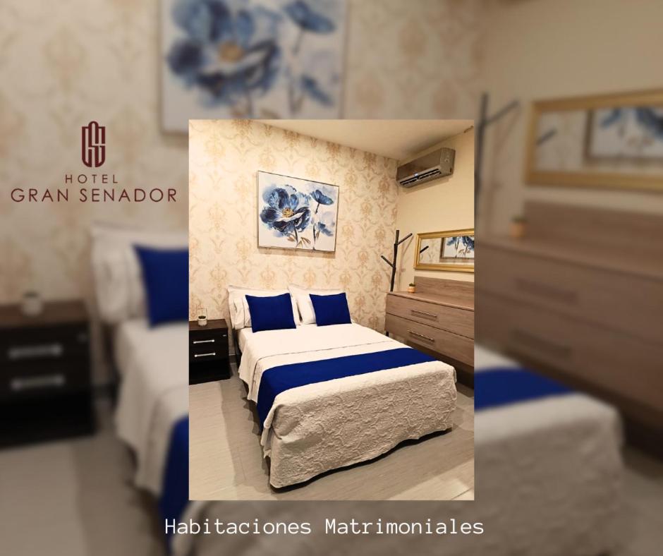 Deluxe Queen Room photo 1
