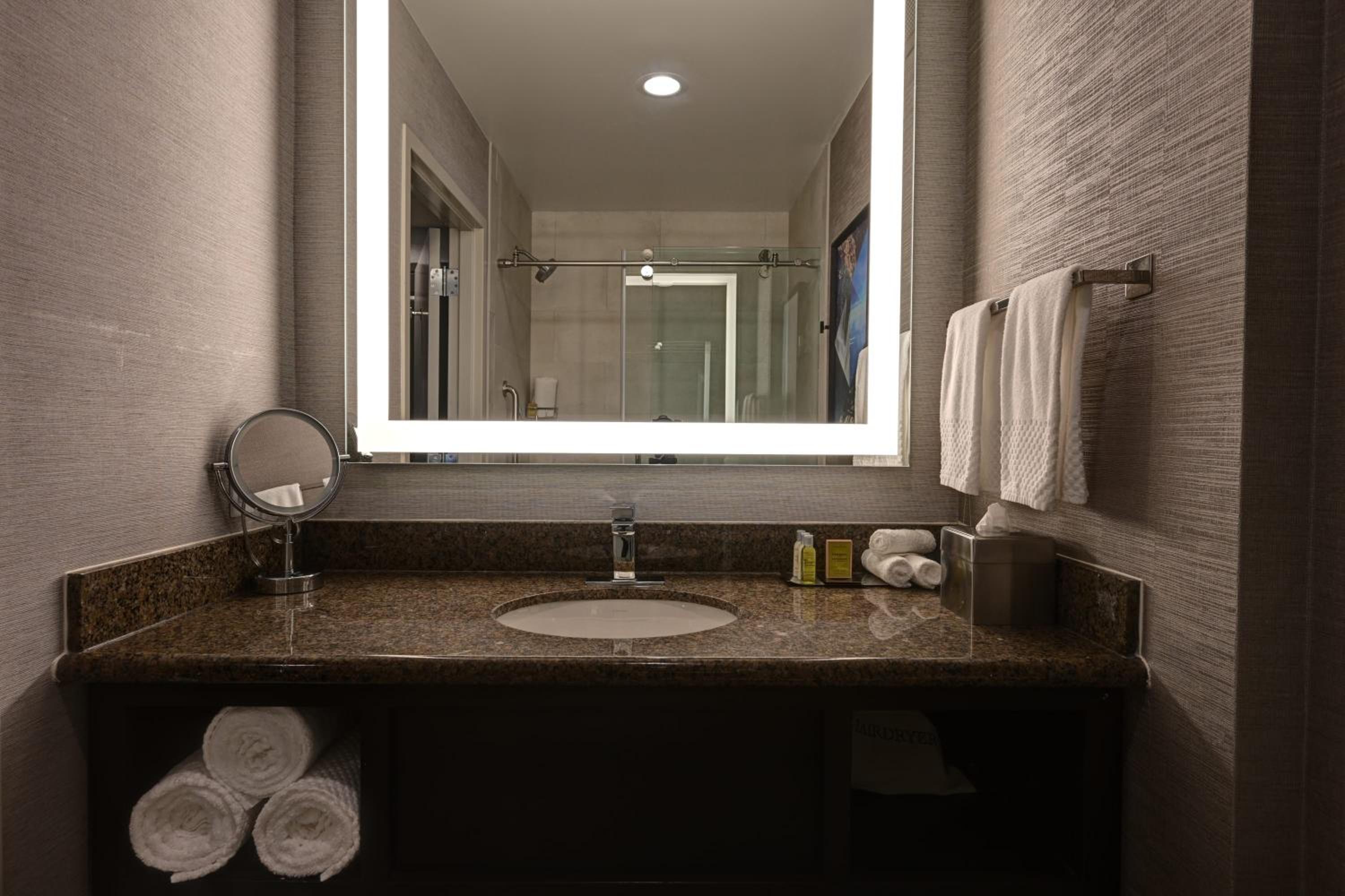 King Suite - Photo 4