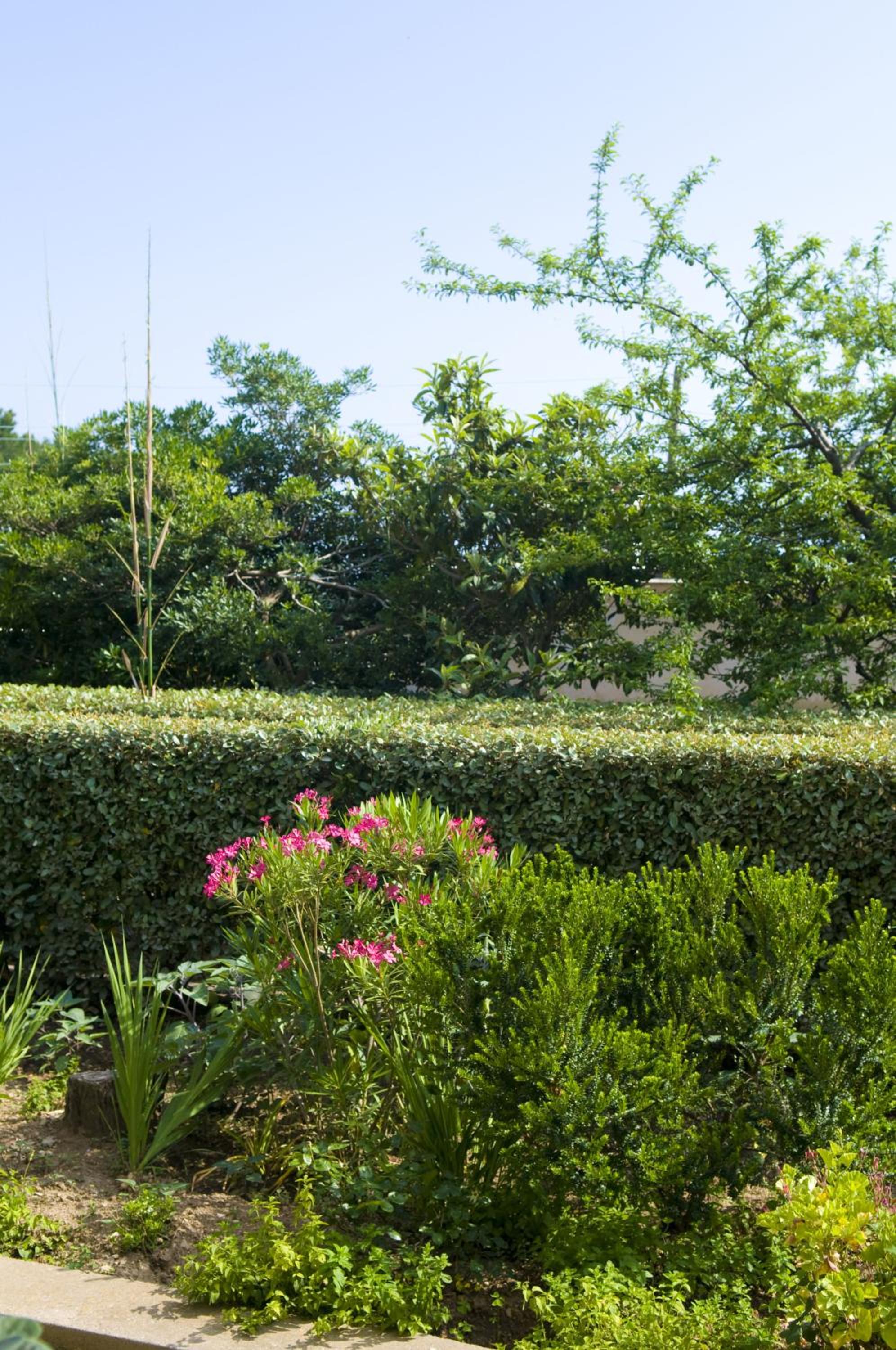 Superior Double Room with Balcony and Garden View - Photo 2