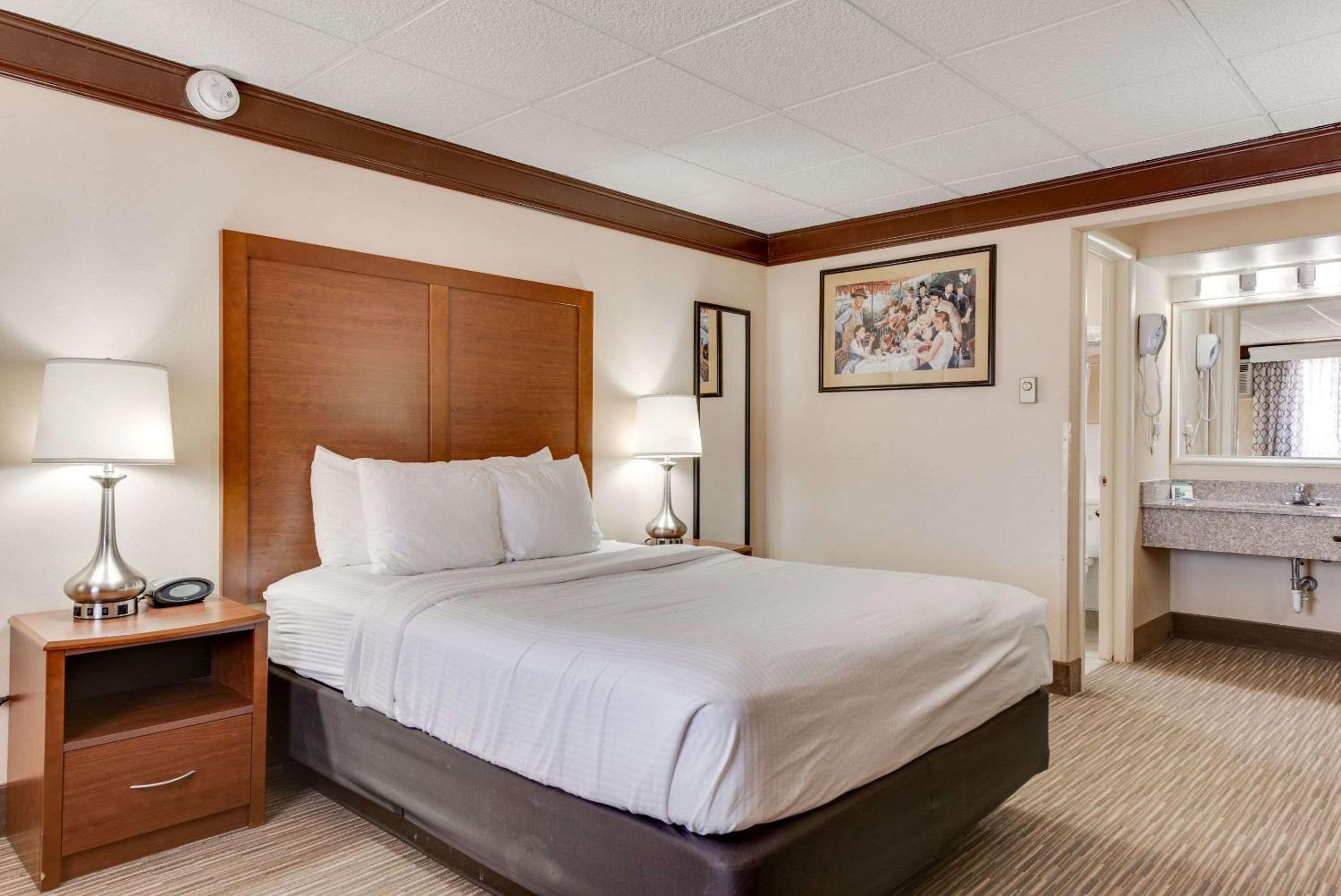 Queen Room - Non-Smoking/Pet Friendly photo 1