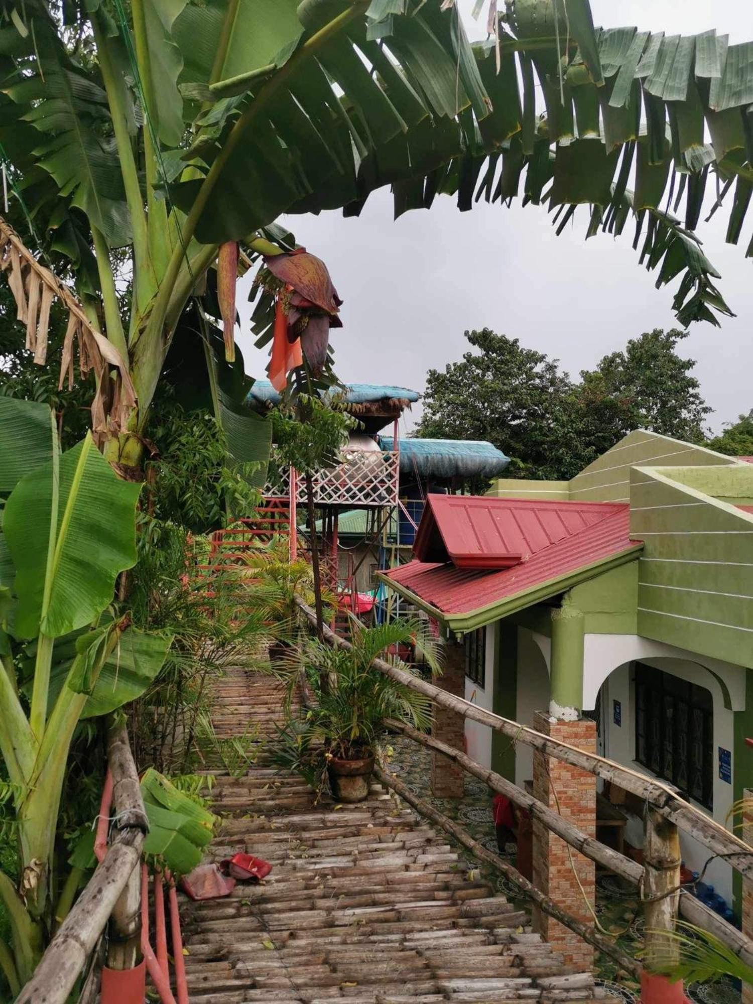 Family Bungalow photo 2