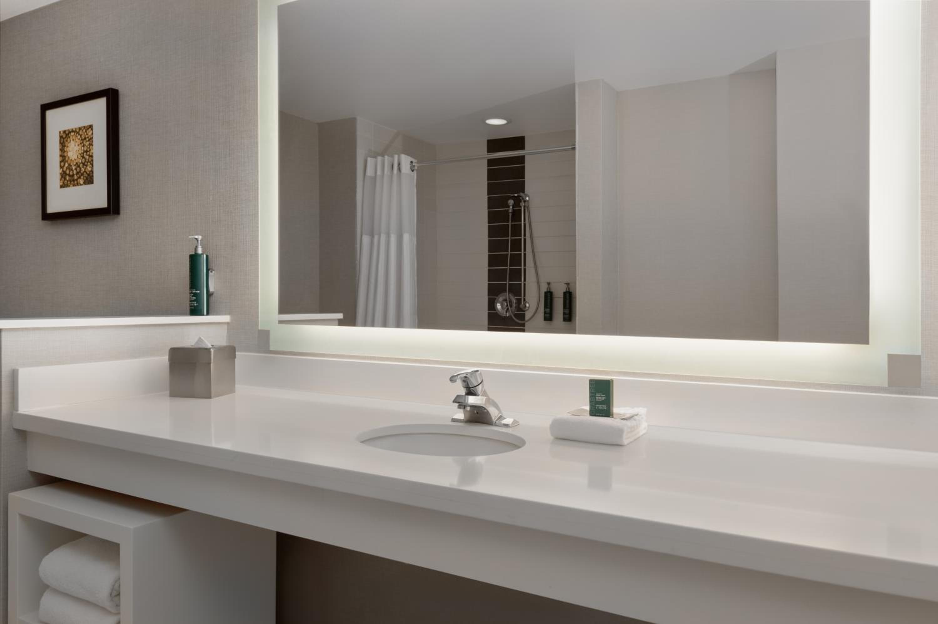 King Room with Roll-In Shower - Mobility/Hearing Accessible - Photo 7