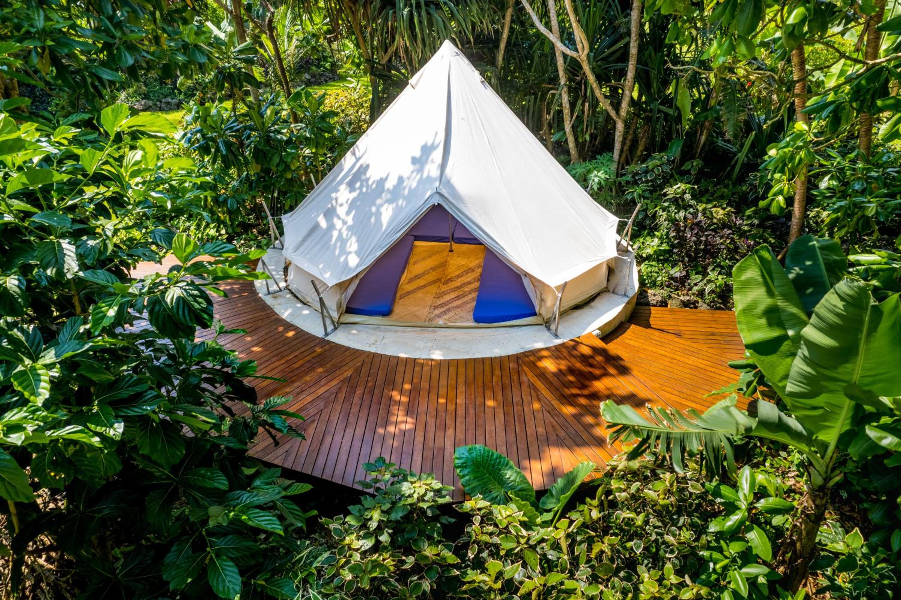 Tent
