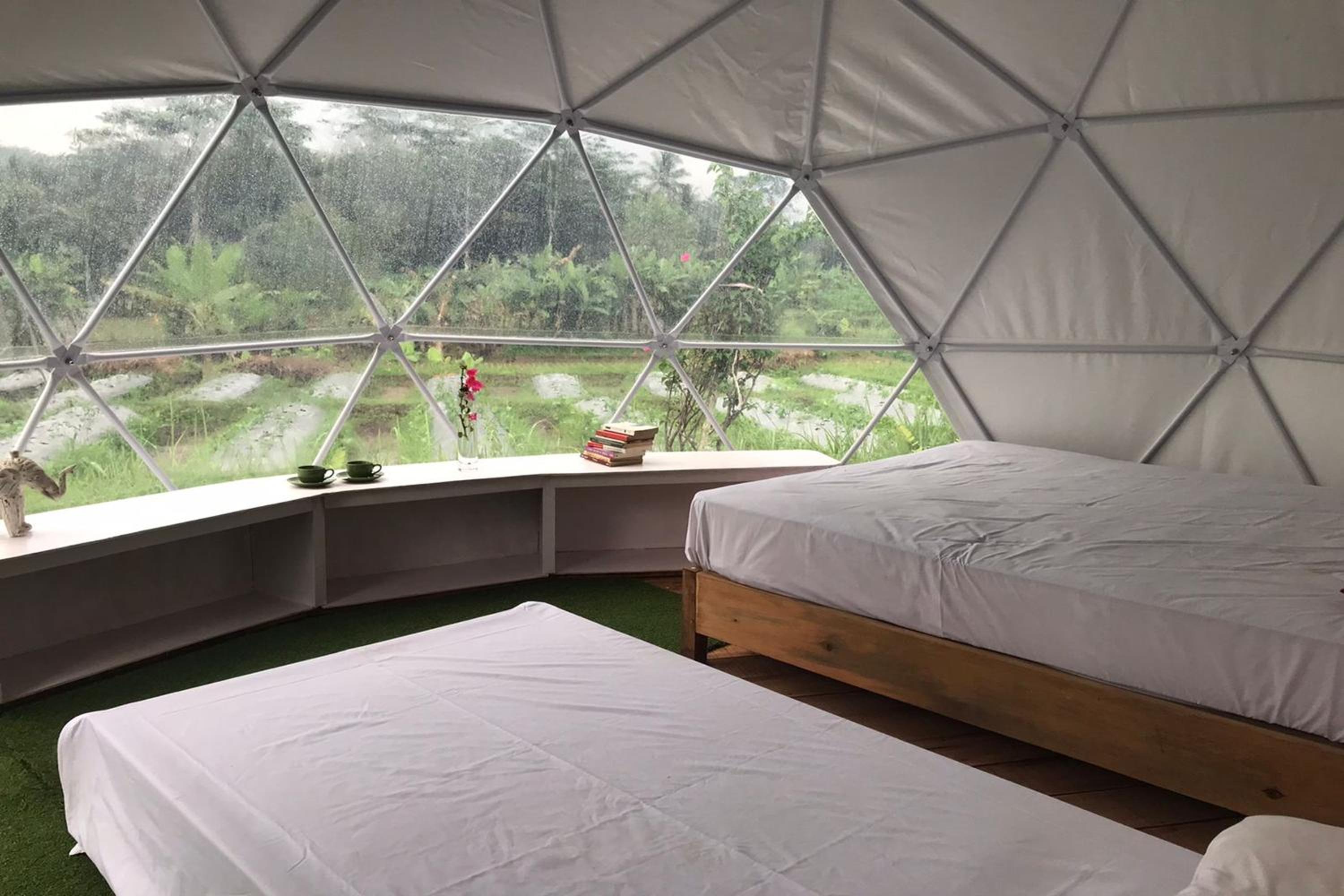 Family Dome Tent - Photo 2