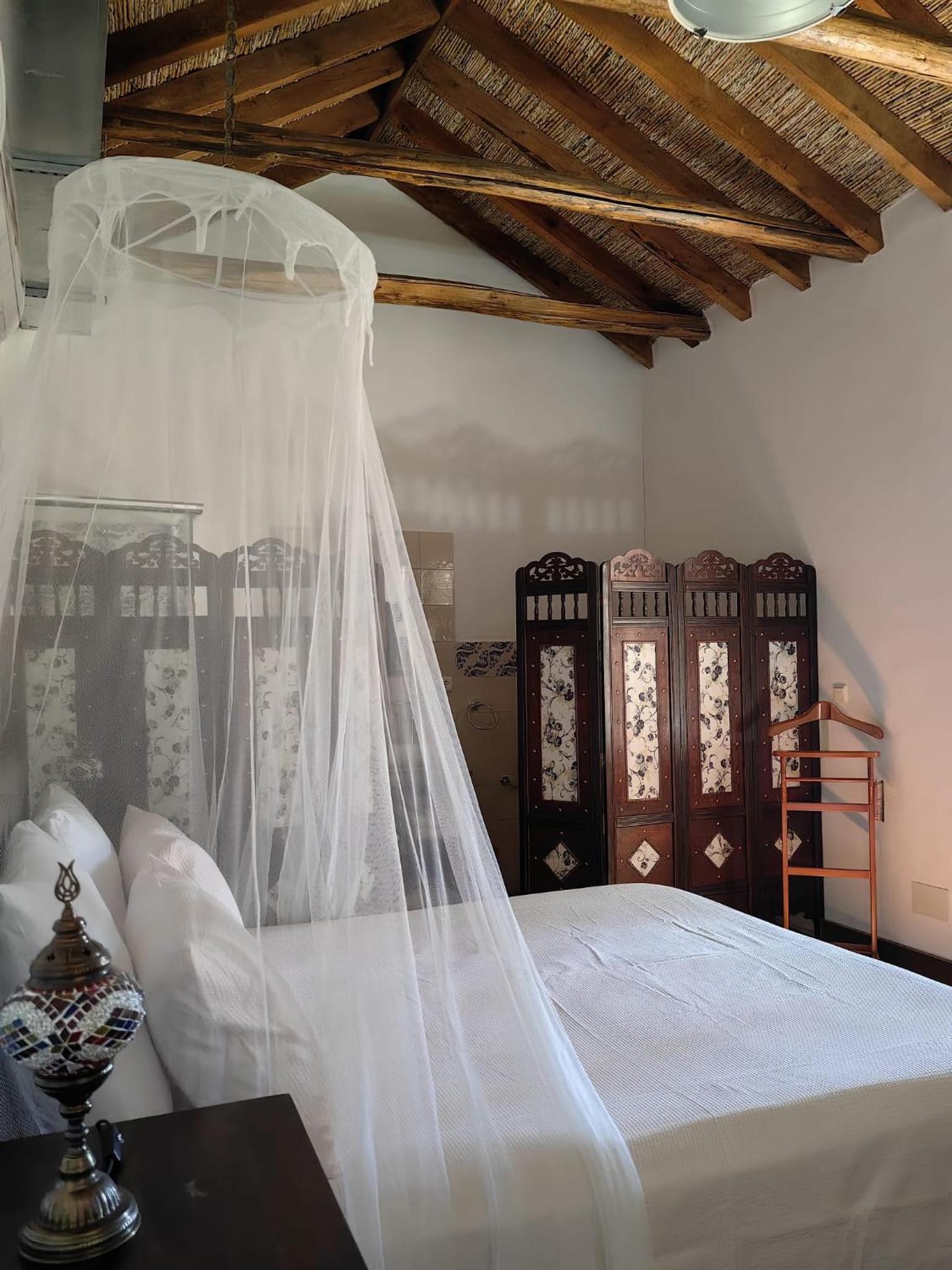 Habitación King con vista al jardín