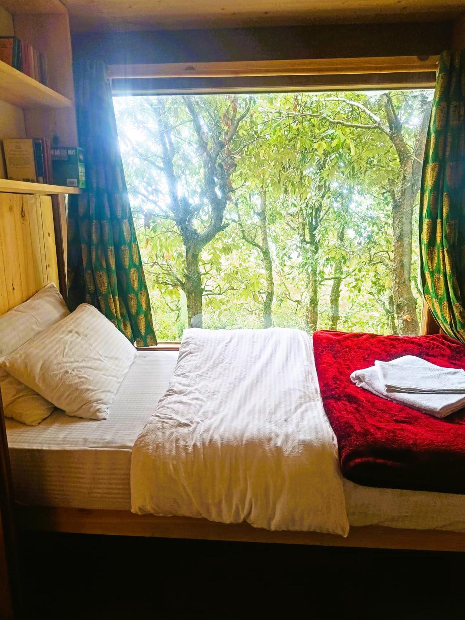 Two-Bedroom Suite photo 1