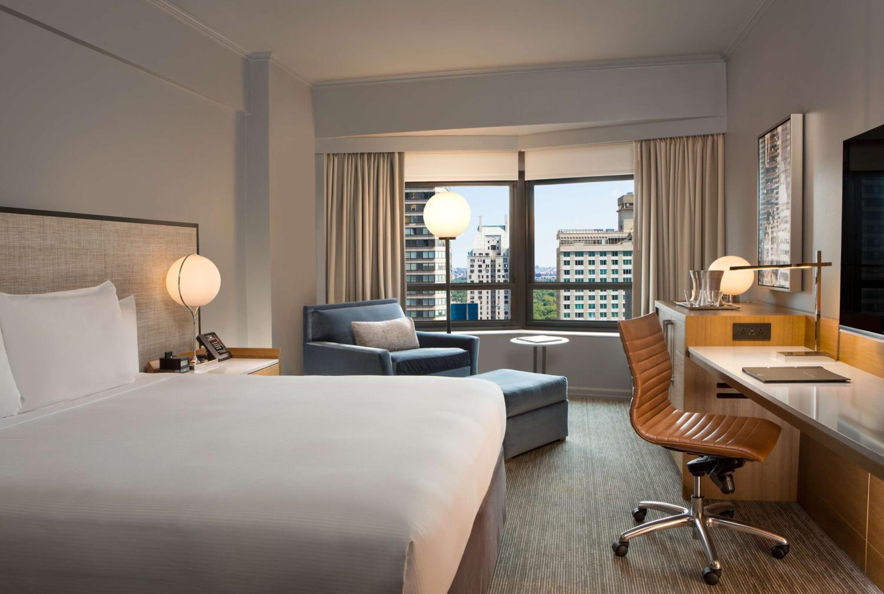 Executive Suite 1 King Bed With Sofa Bed photo 1