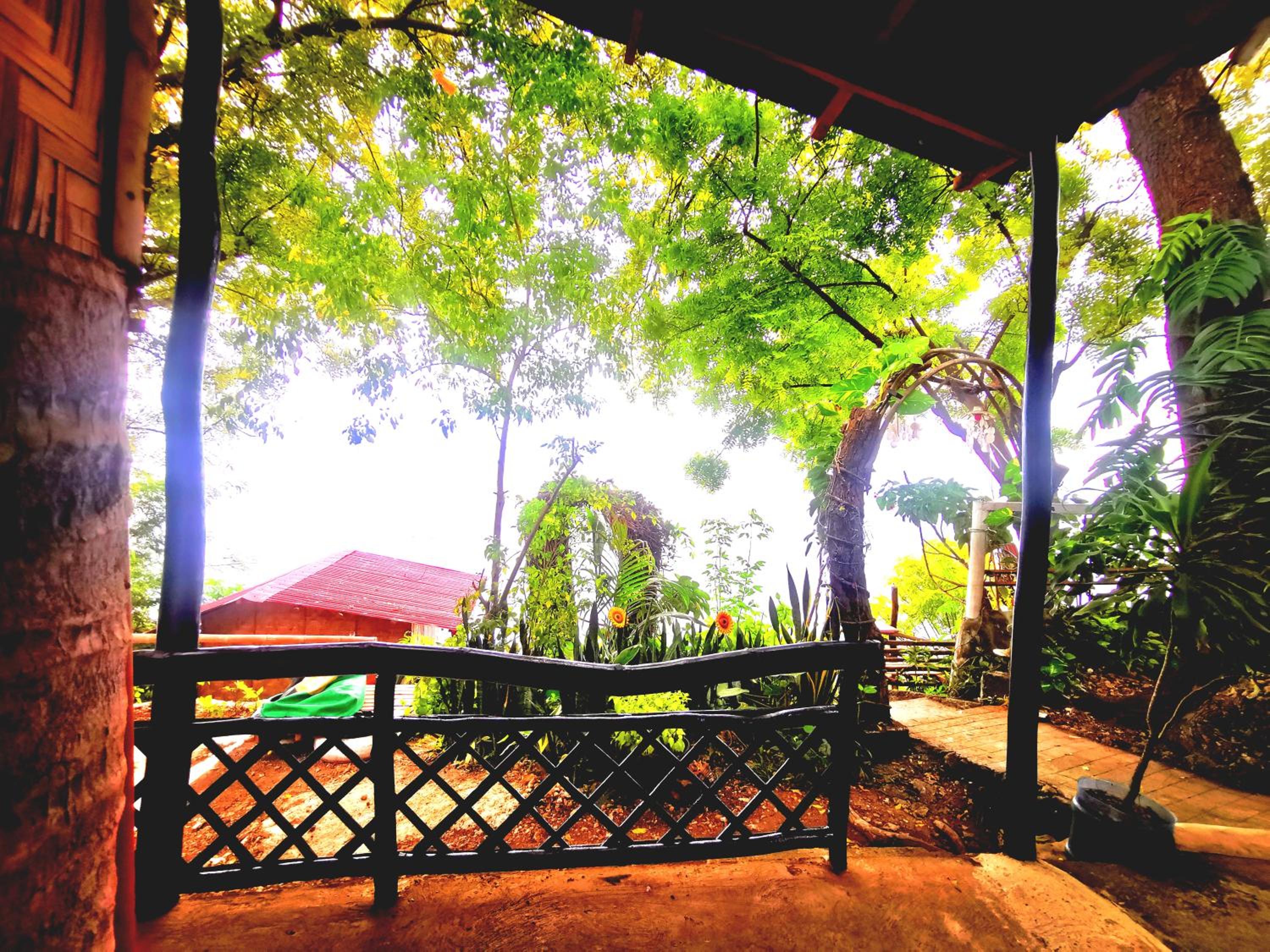 Deluxe Double Room with Balcony and Sea View - Photo 10