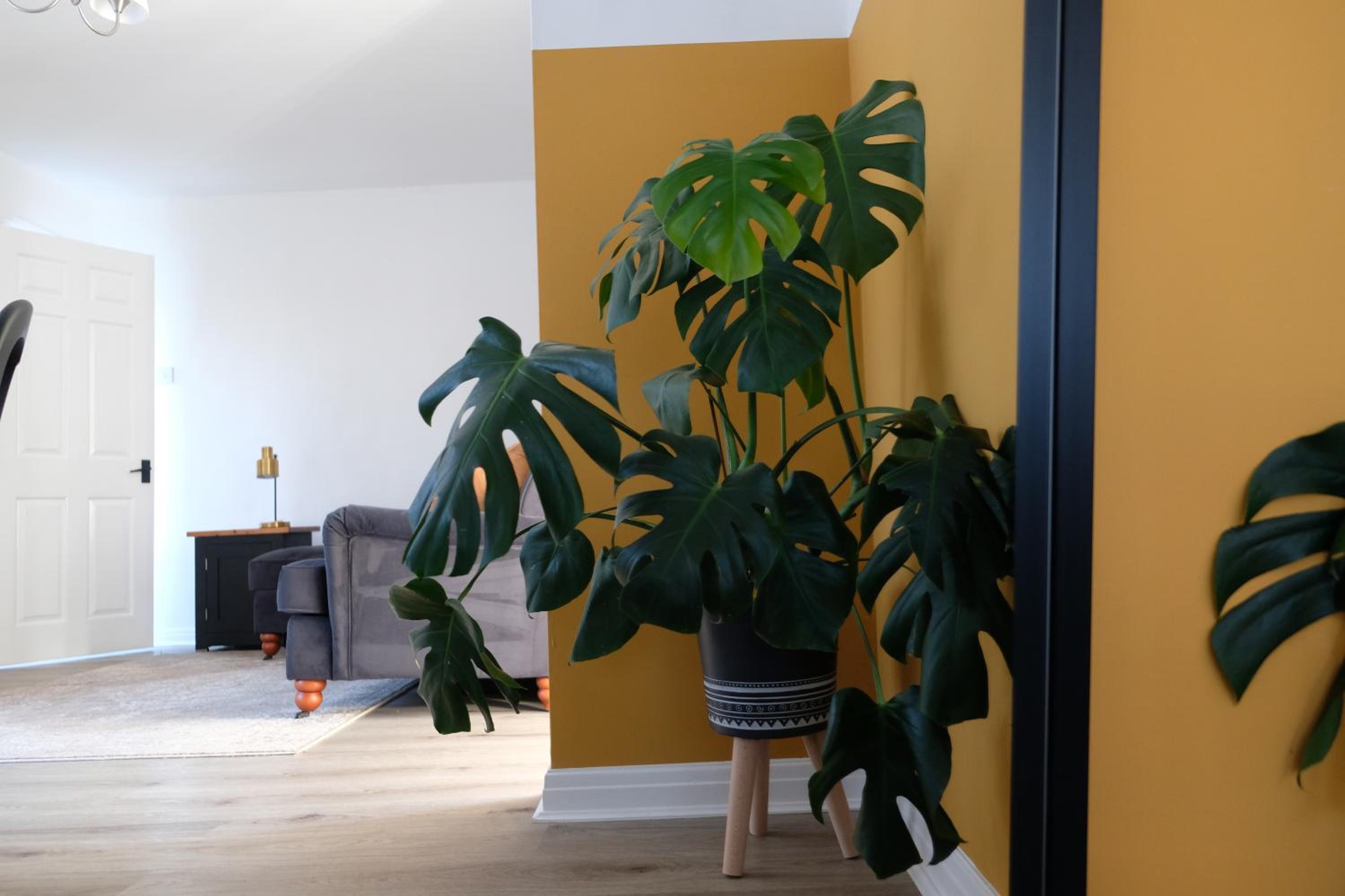 Two-Bedroom House photo 2