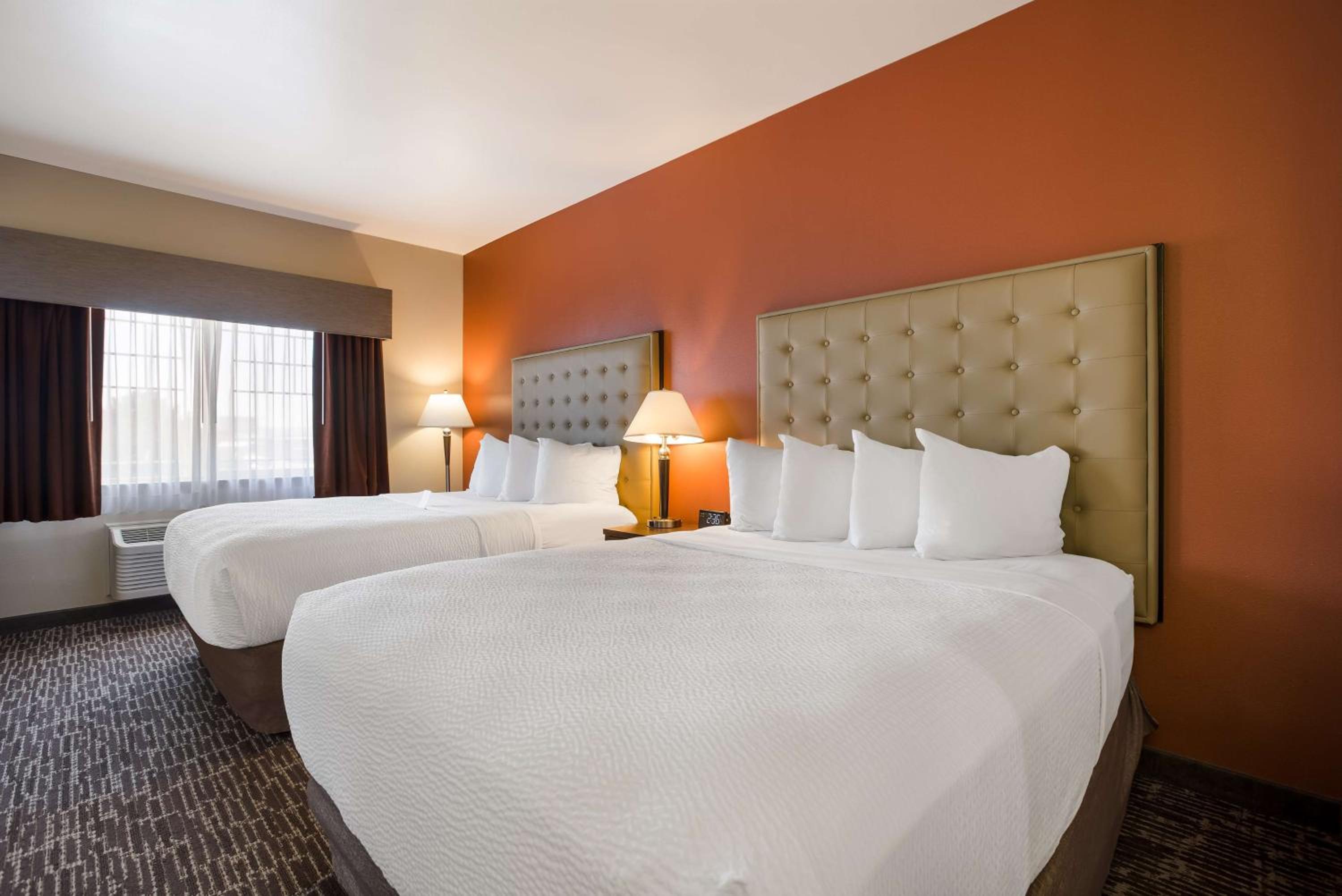 King Suite photo 2