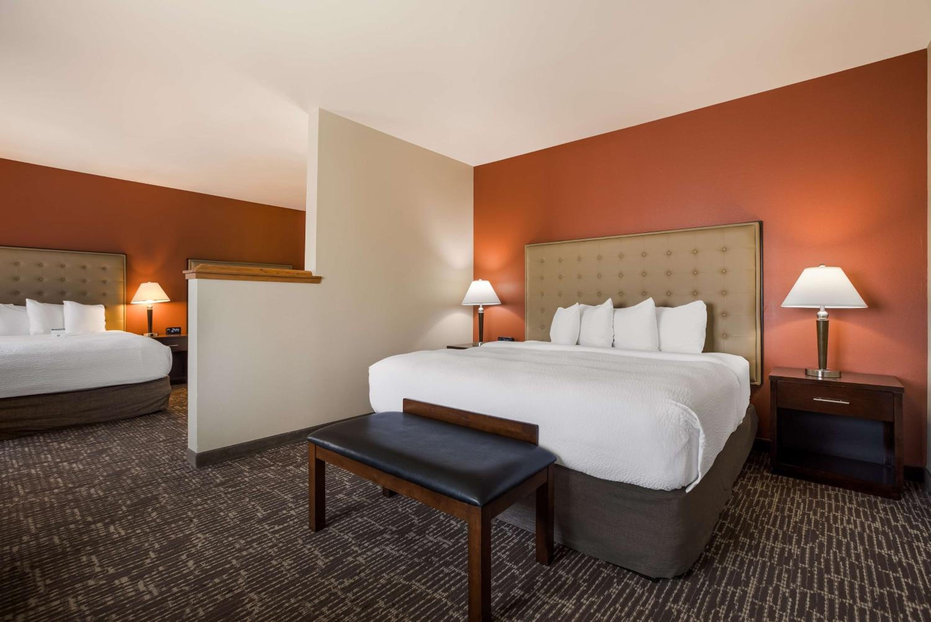 King Suite photo 1