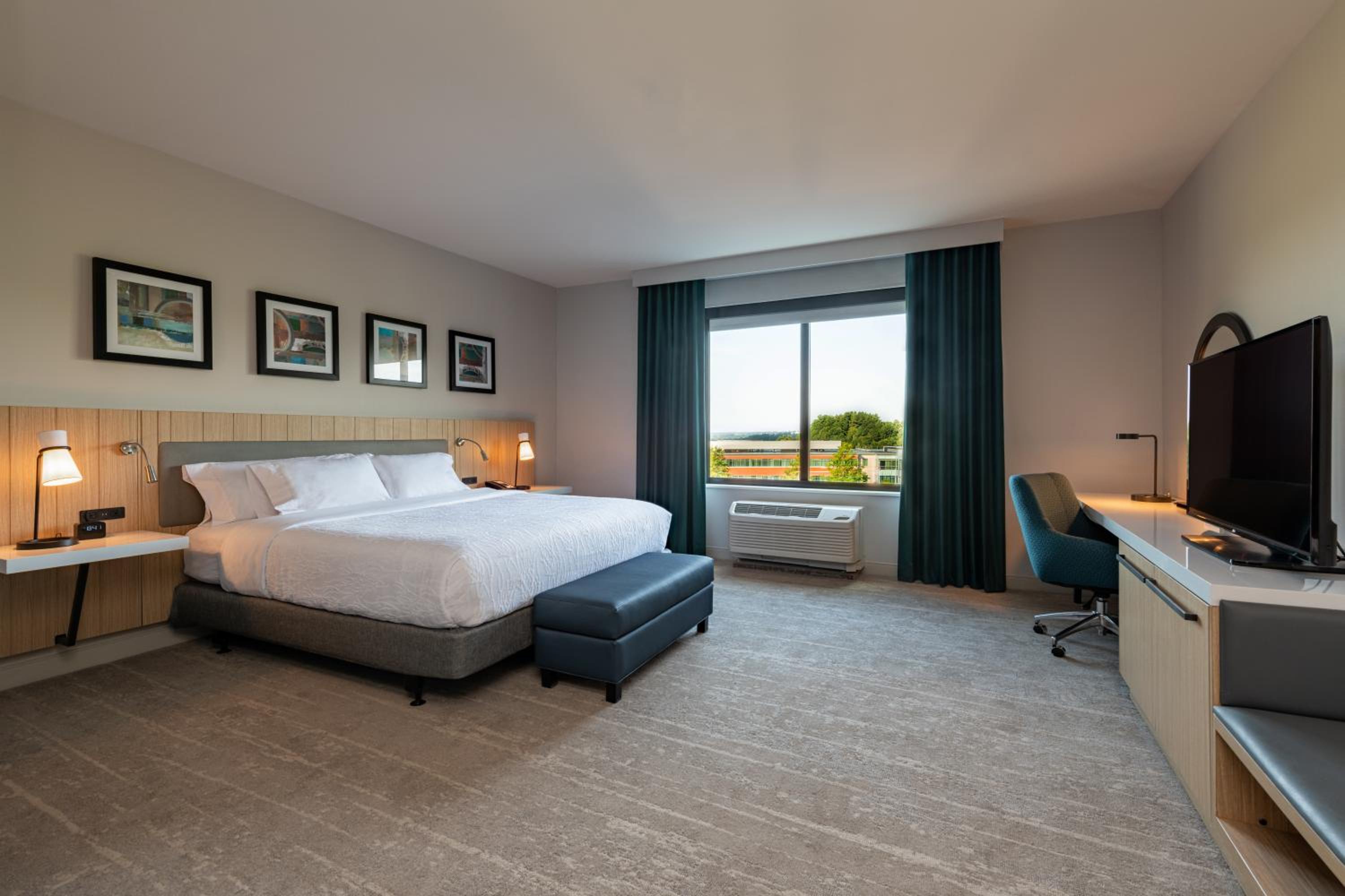 King Room - Photo 2