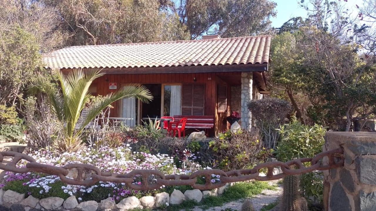 Three-Bedroom House photo 2