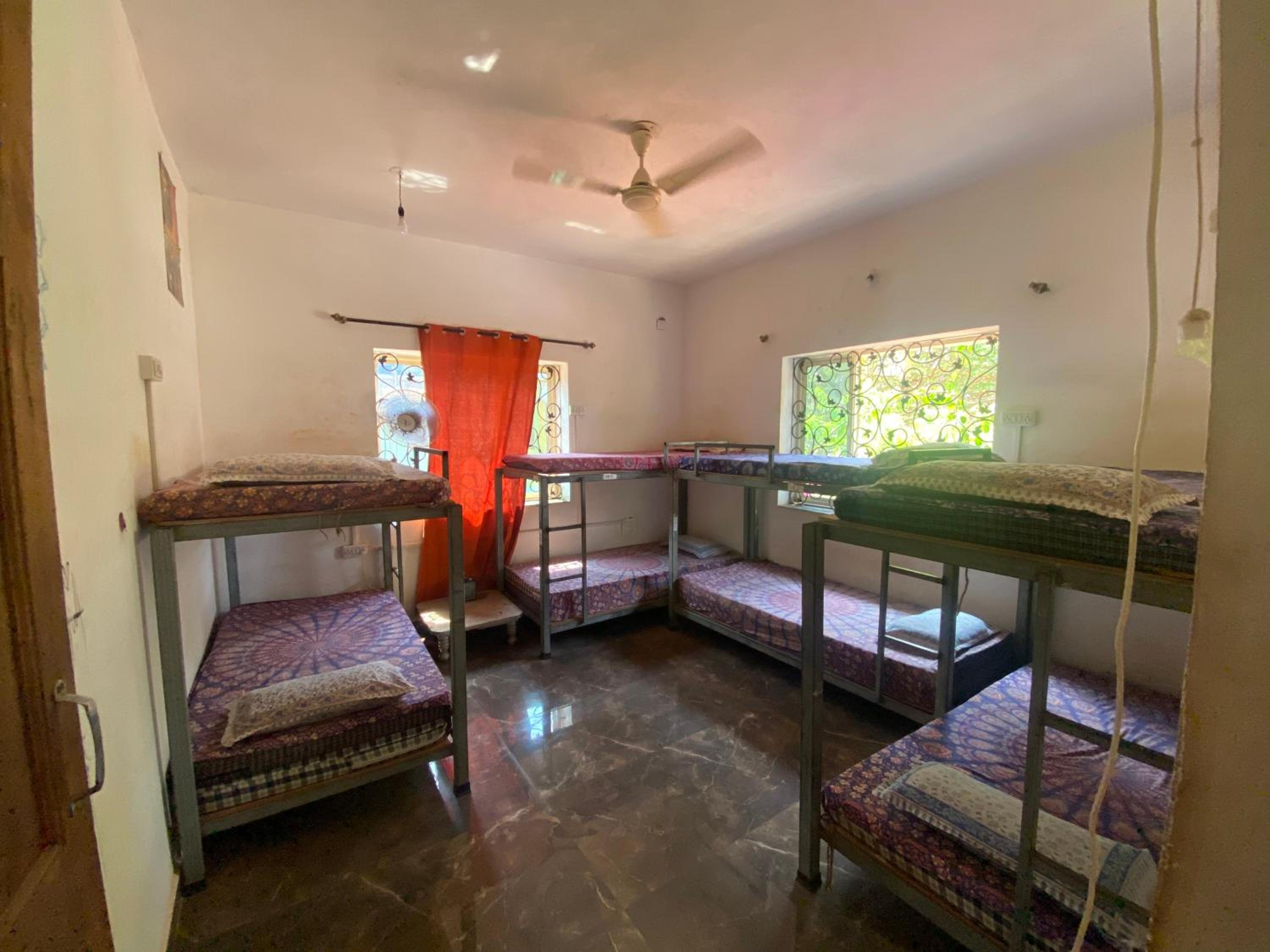 Bed in 4-Bed Female Dormitory Room photo 1