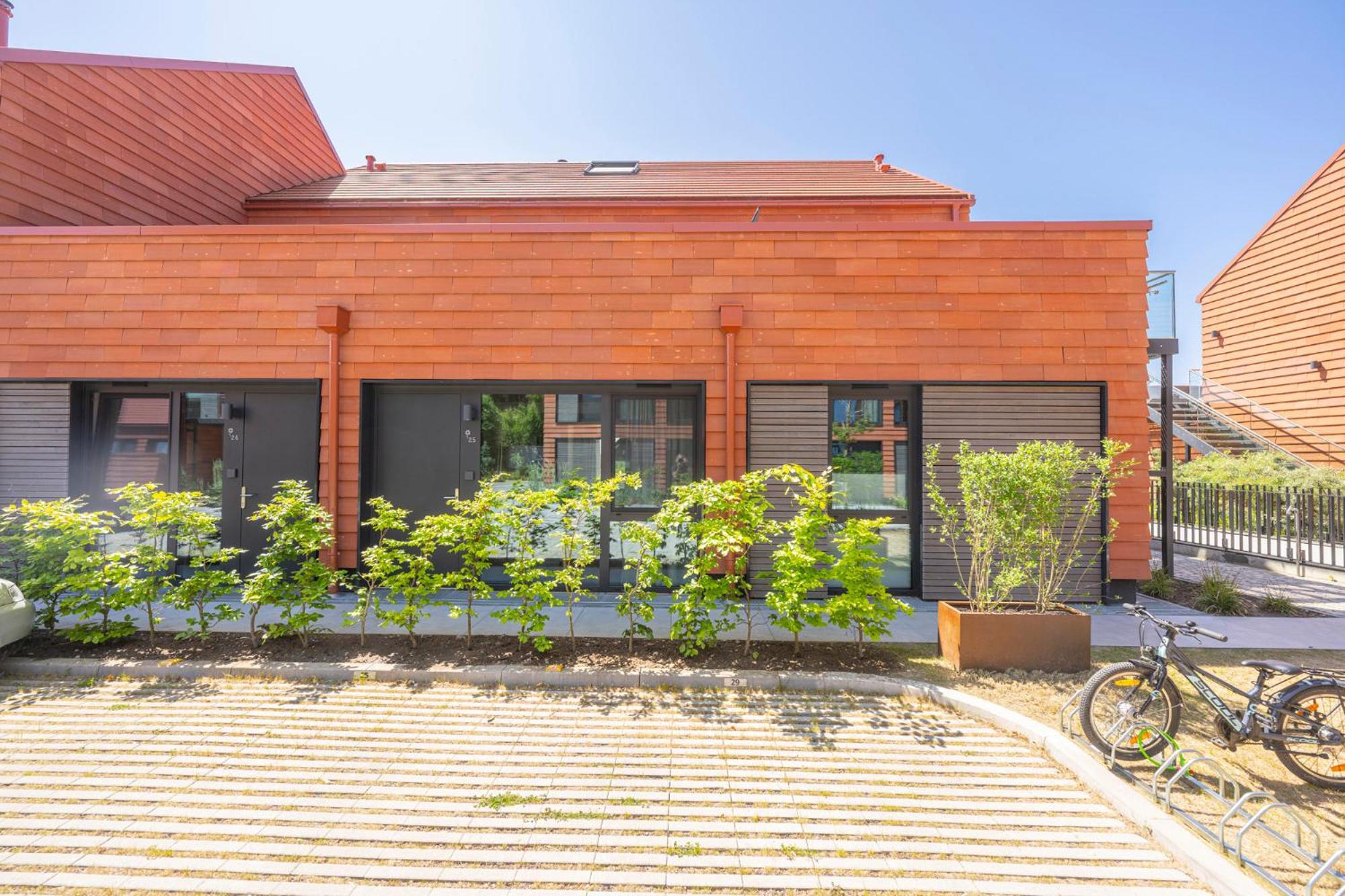 Apartment with Terrace photo 2