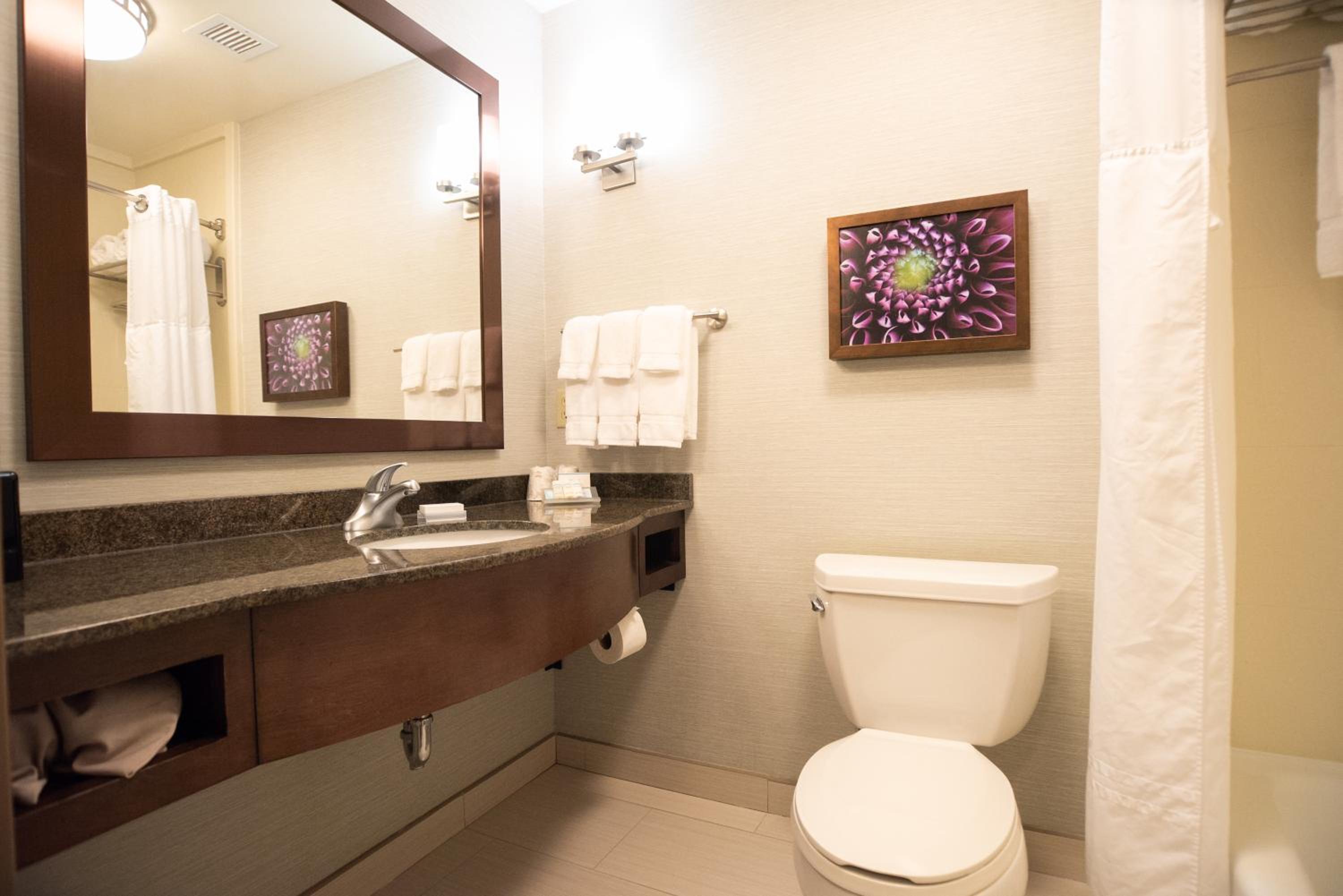 Evolution King Room - Photo 6