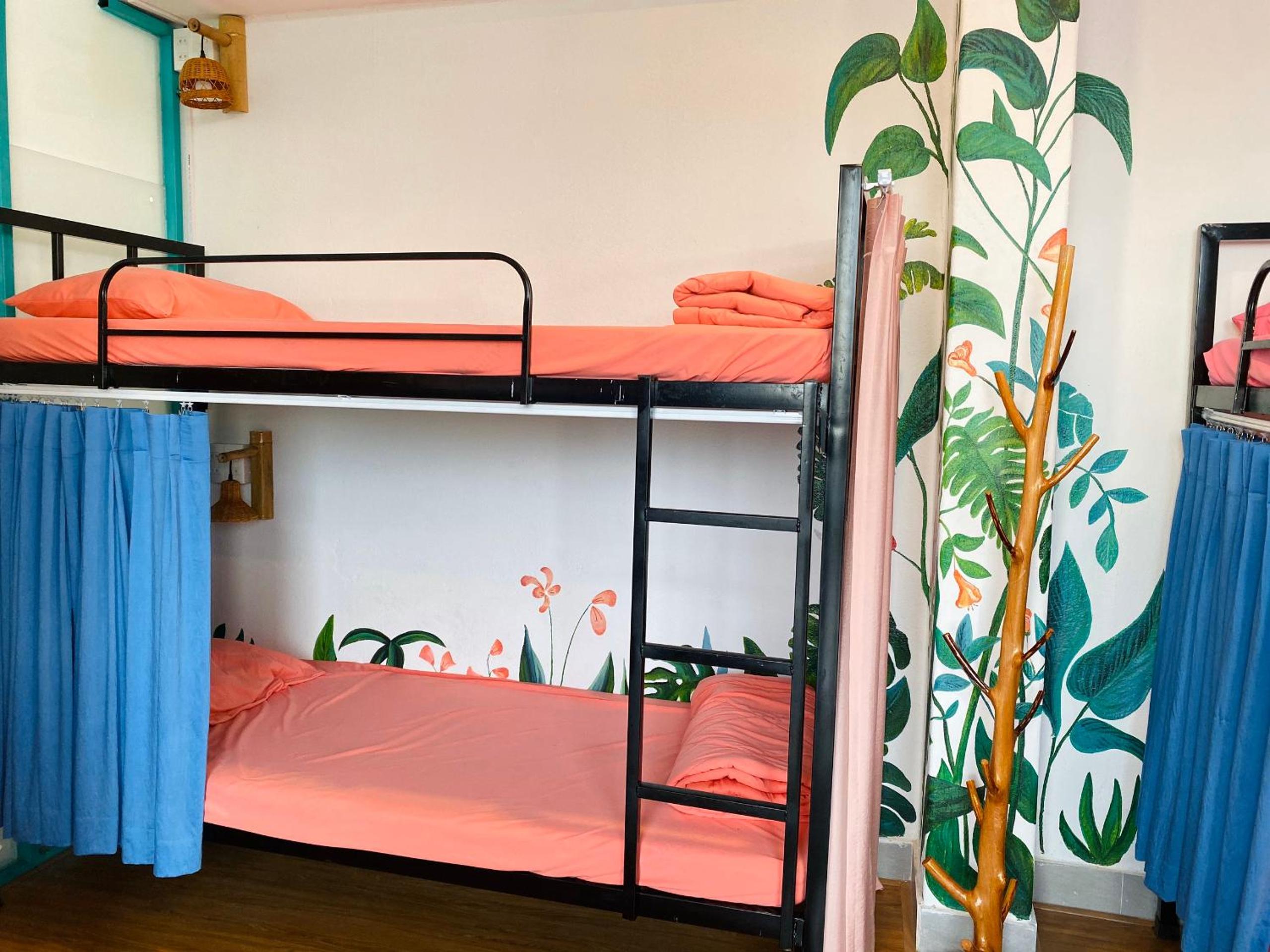 6-Bed Mixed Dormitory Room photo 1