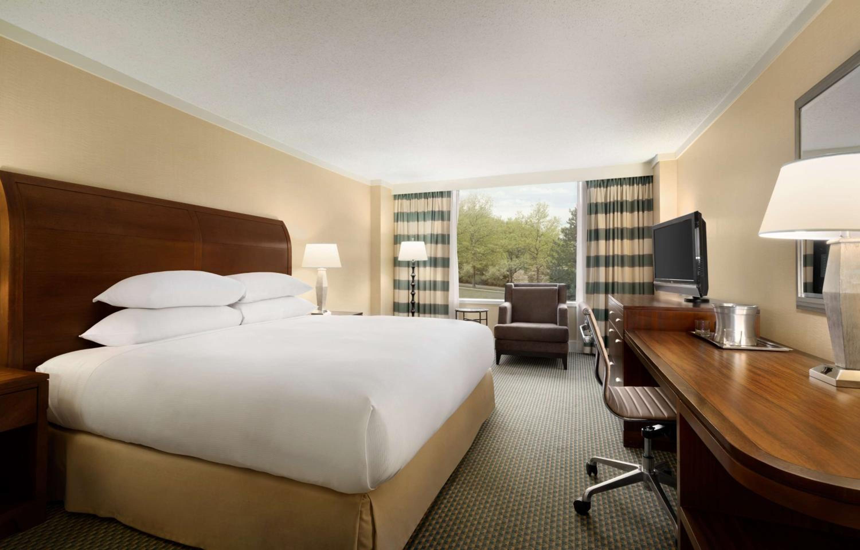 PURE Wellness King Room - Photo 2