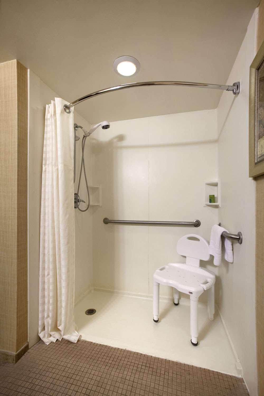 King Suite With Roll-In Shower - Mobility/Hearing Accessible - Non-Smoking