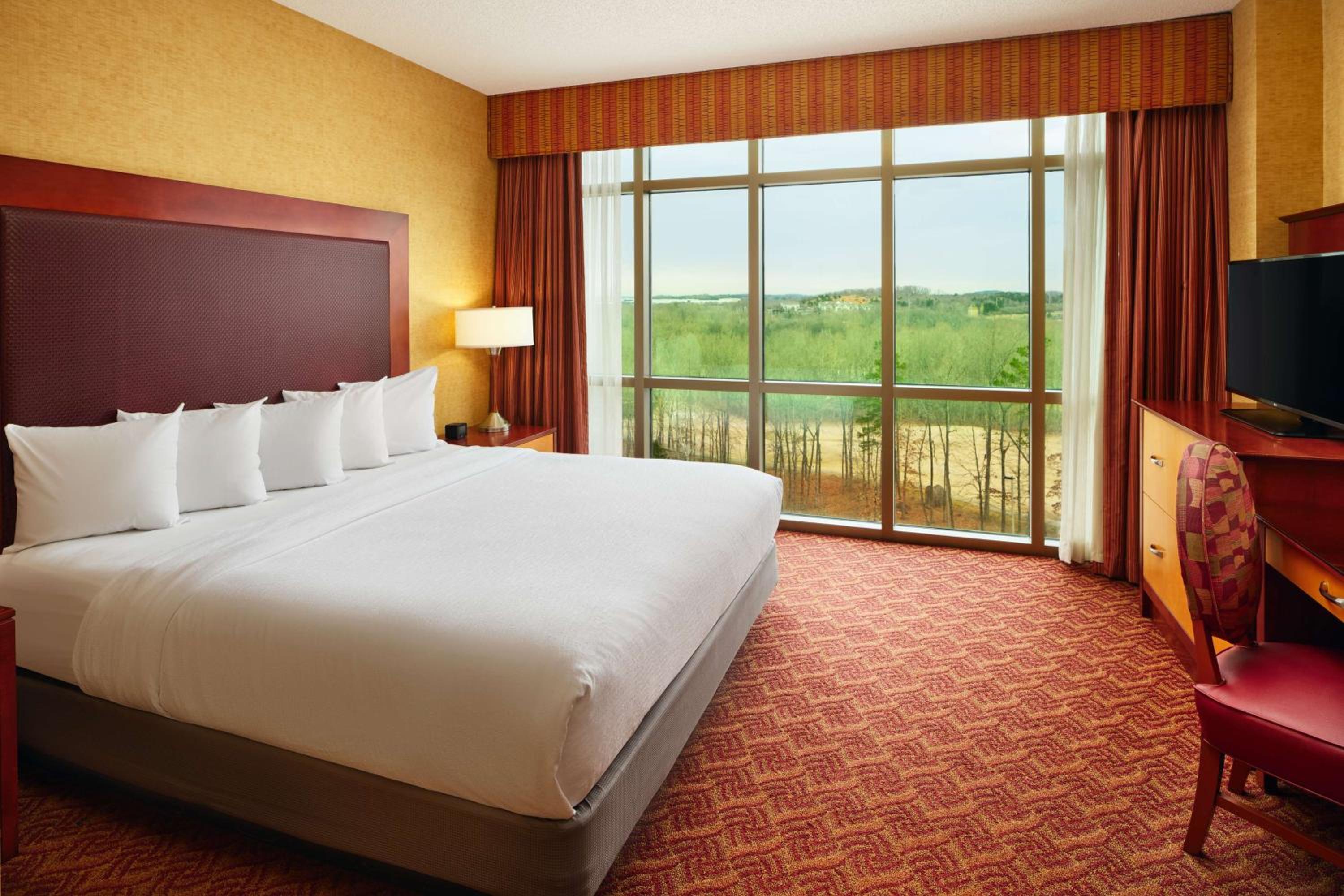 Two-Room King Suite - Non-Smoking - Photo 6