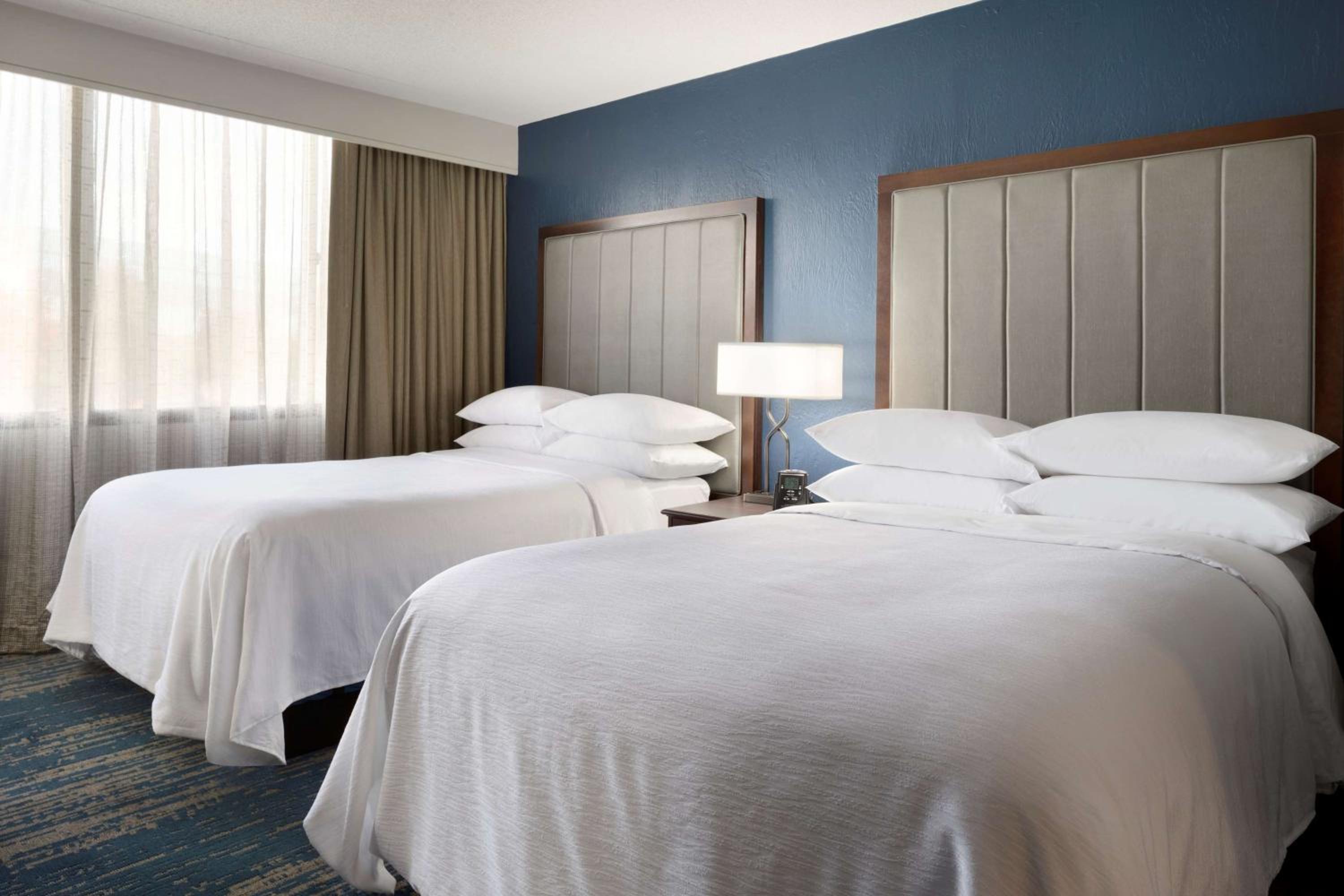 Premium Suite - Photo 3