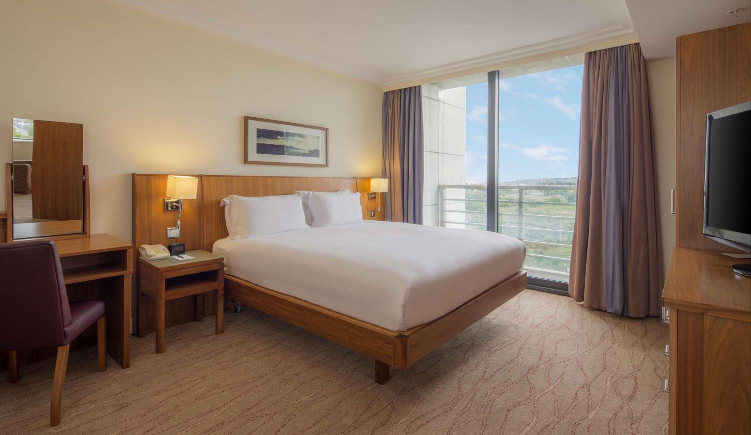 King Suite with Lounge Area - Photo 9