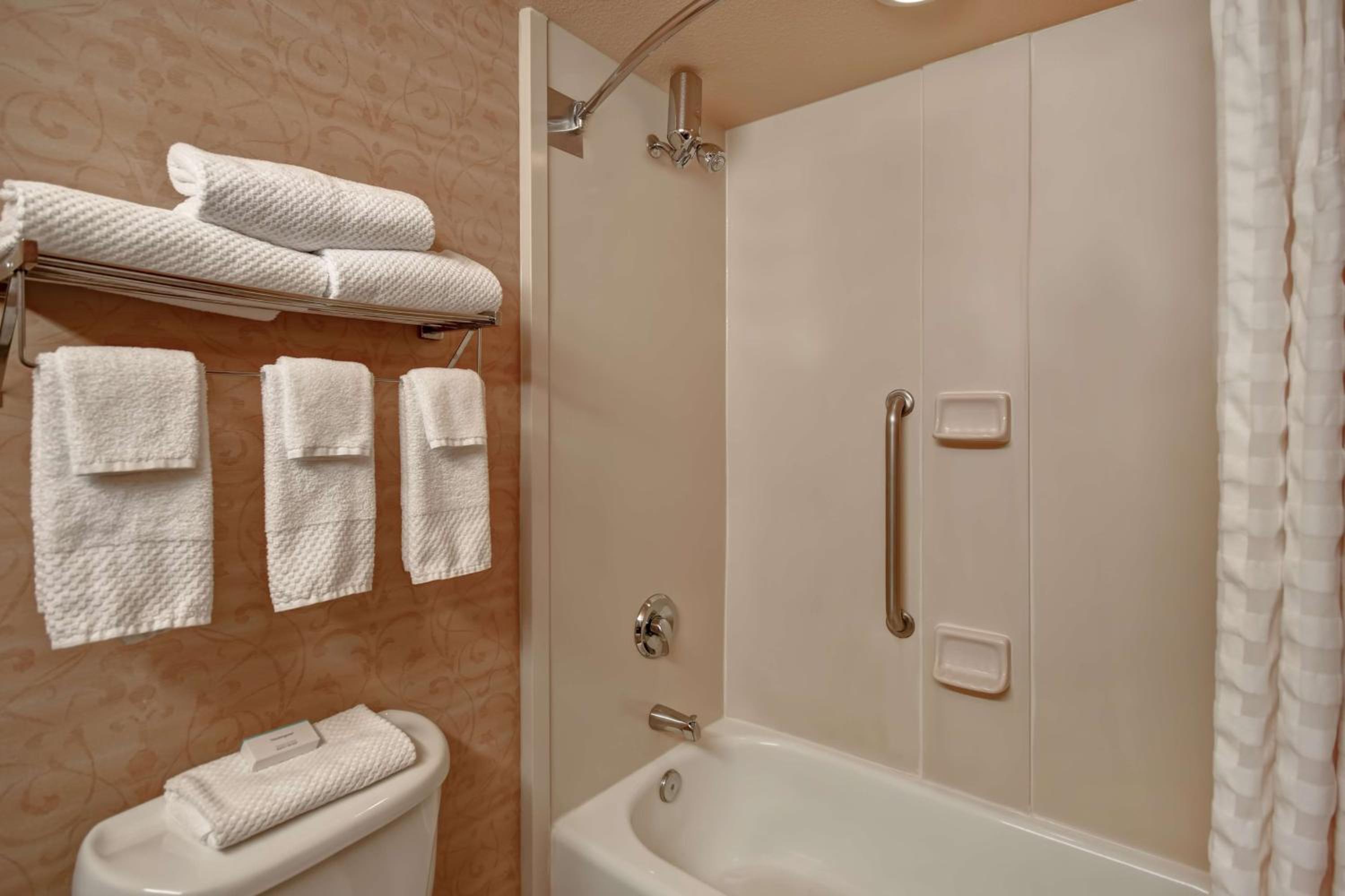 King Suite with Bath Tub - Mobility and Hearing Access - Photo 9