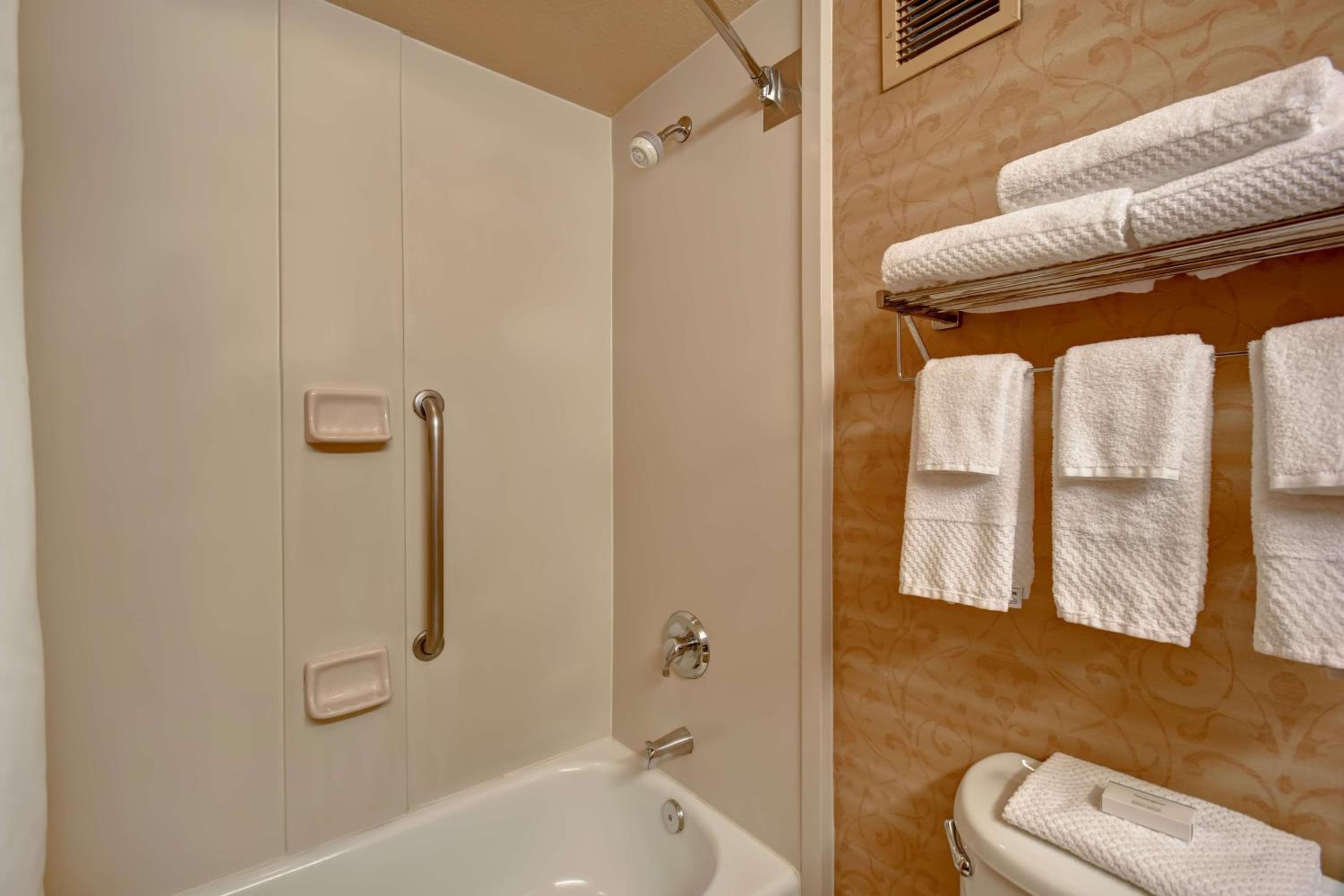 One-Bedroom King Suite - Photo 3