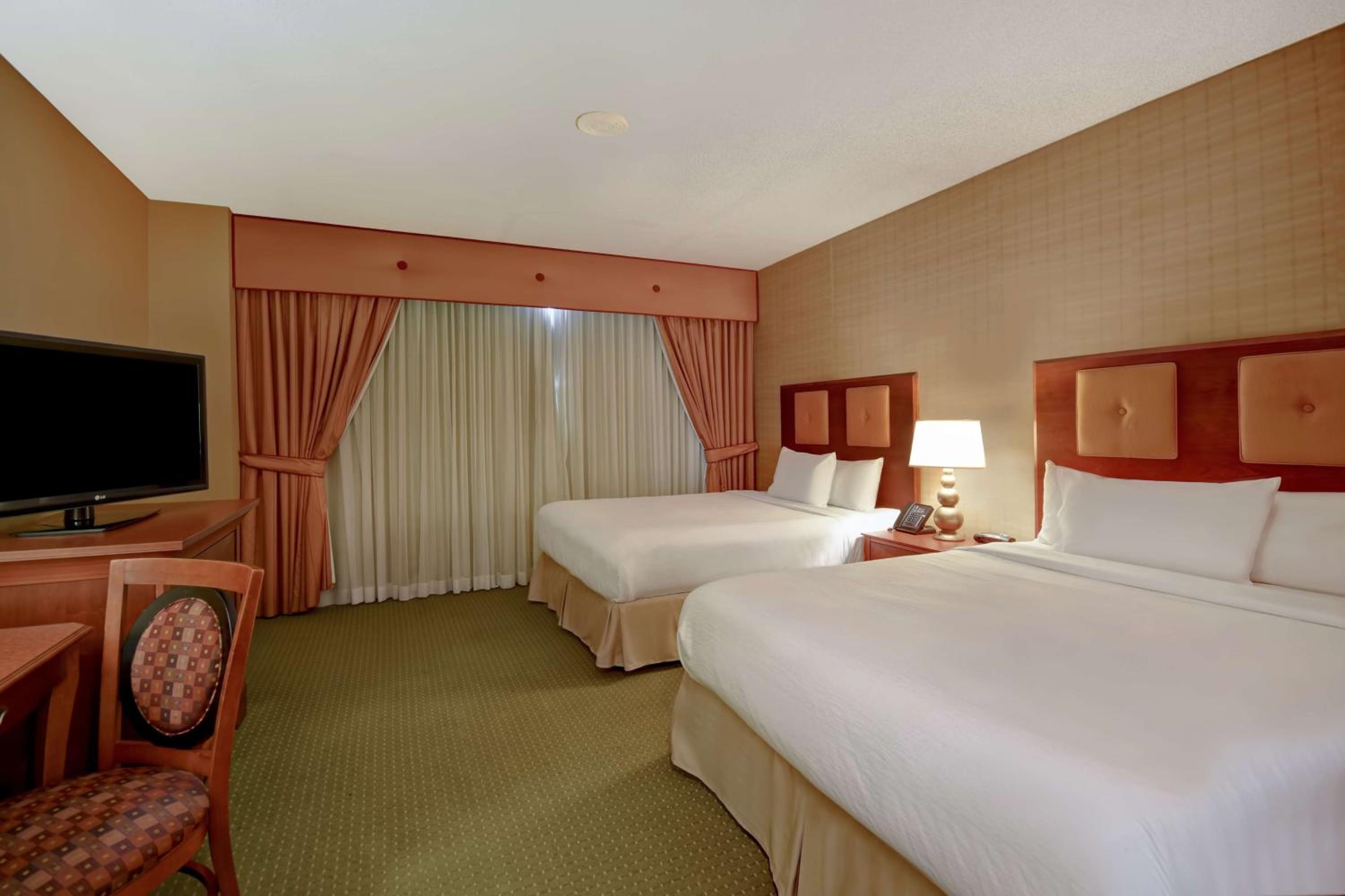 Double Suite - Wellness Allergy Friendly photo 2