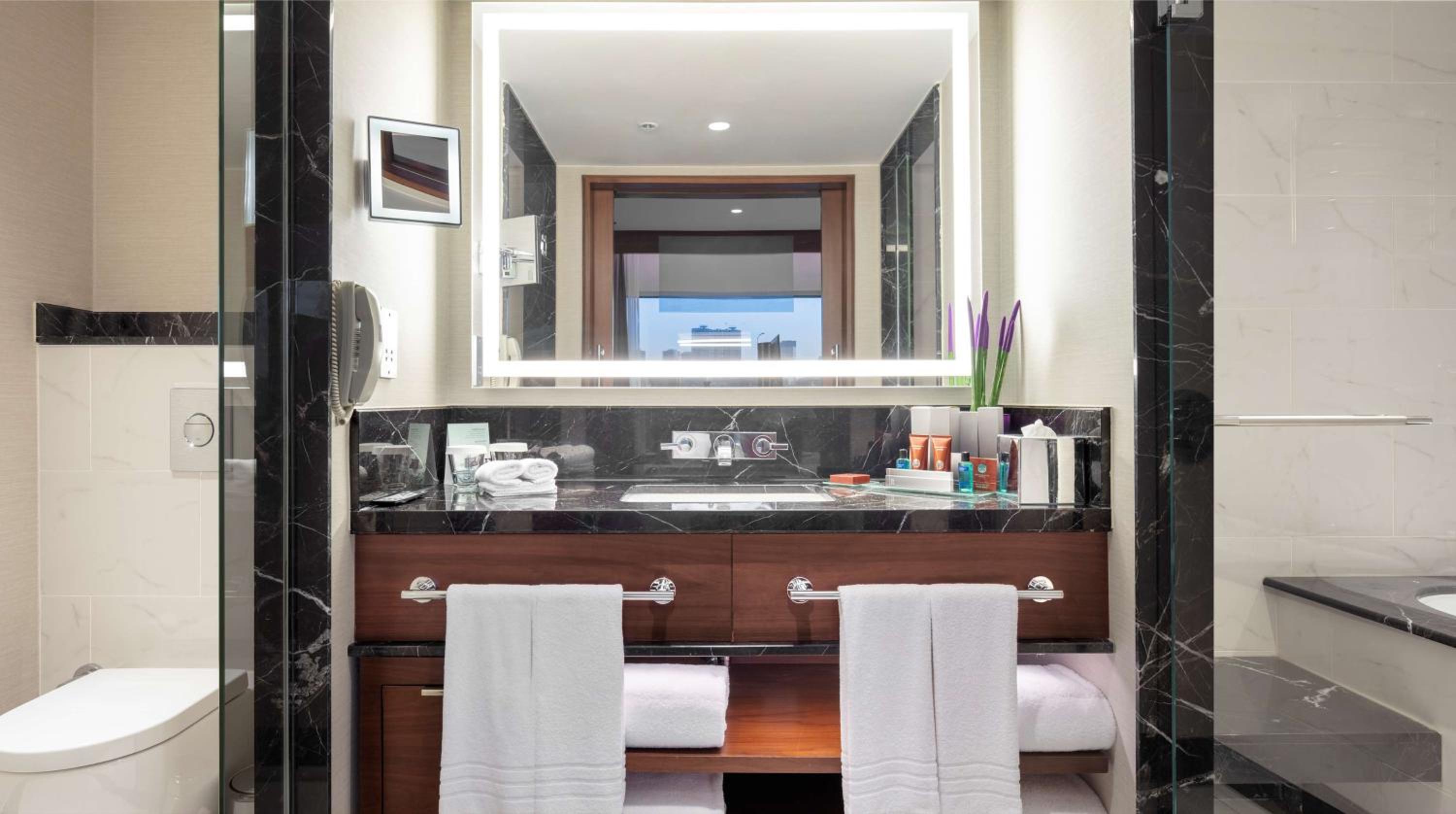 Deluxe Suite with Kitchen and Lounge Access