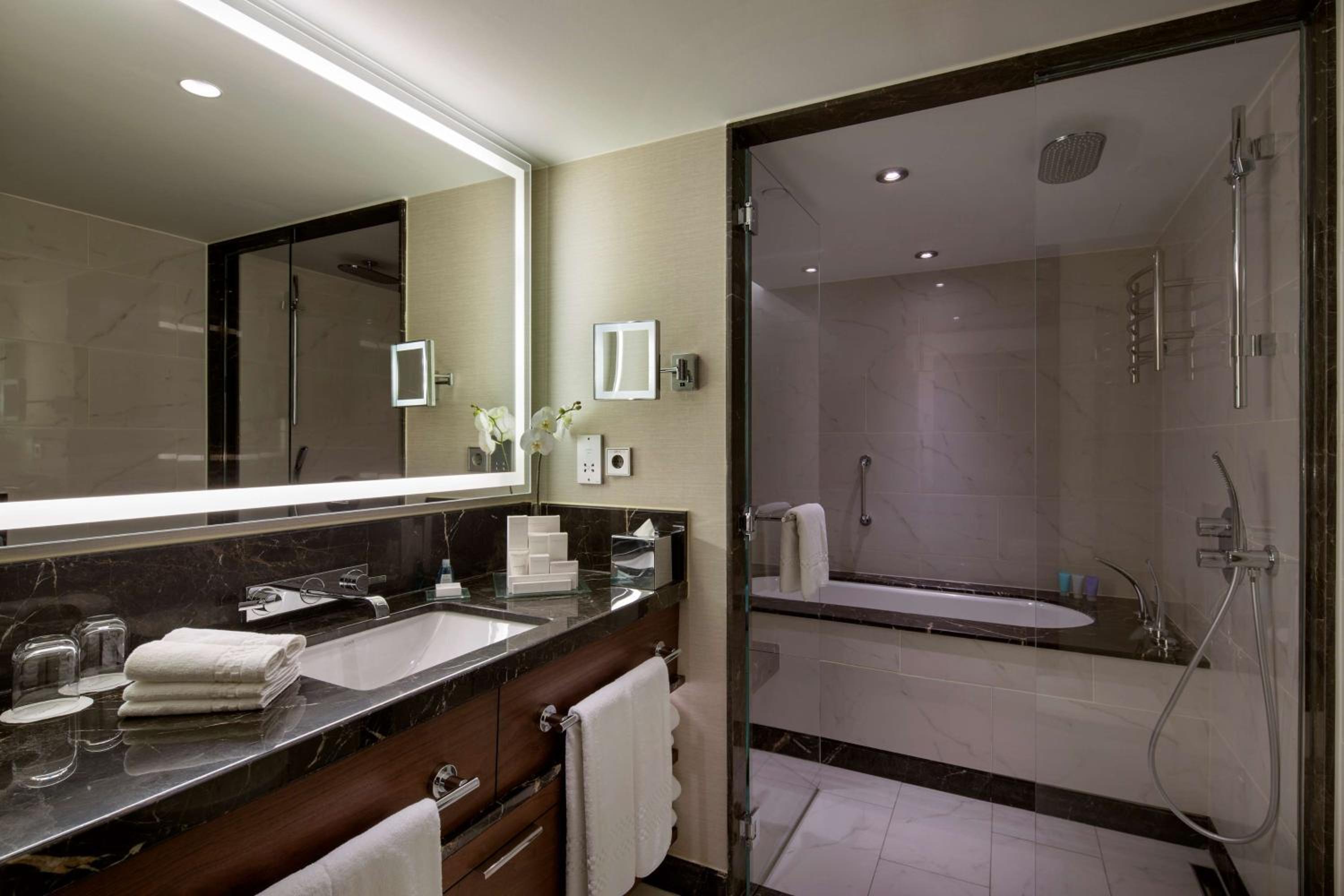 Park Suite with Balcony - Lounge Access