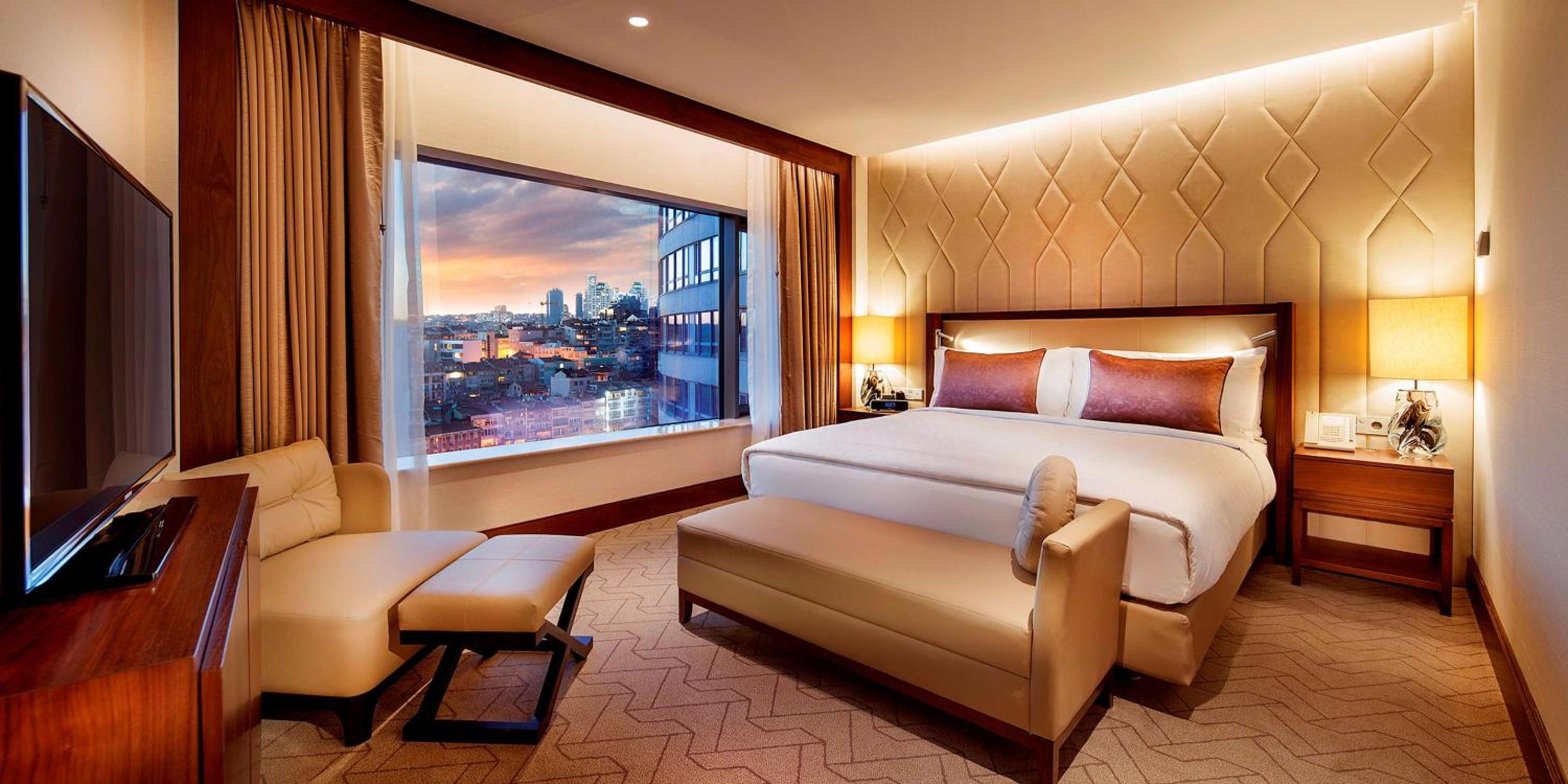 Deluxe King Room with Park View
