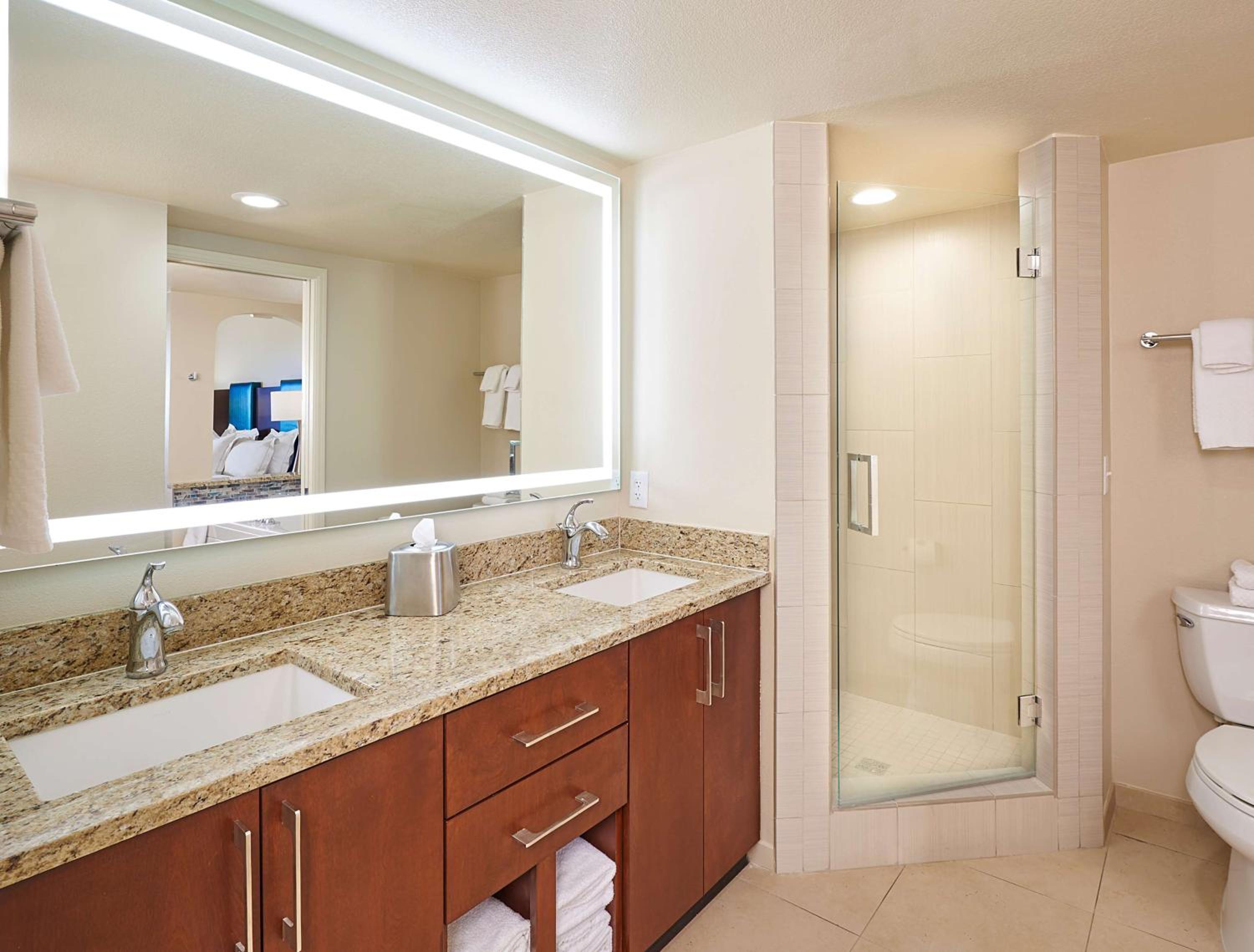 One-Bedroom King Suite with Sofa Bed