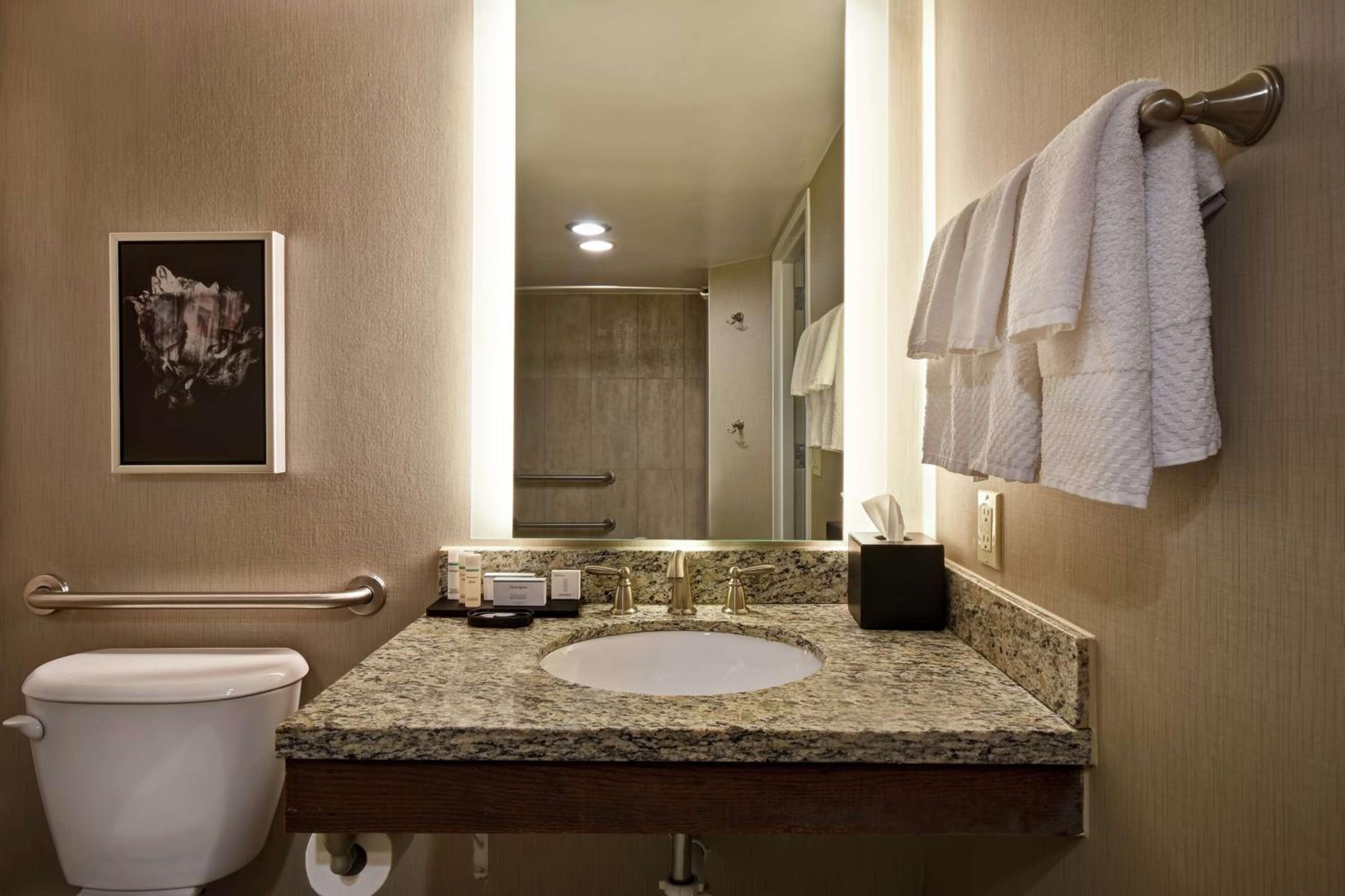 One-Bedroom Suite - Mobility Access/Bath Tub - Photo 7