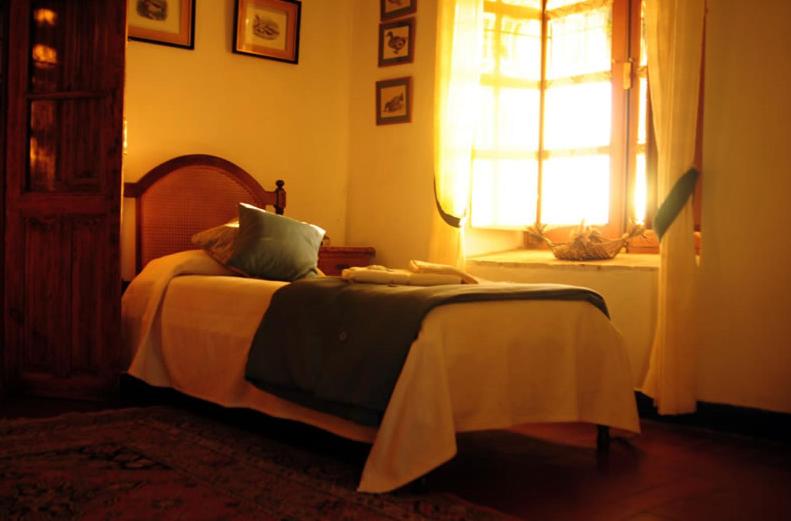 Single Room photo 1