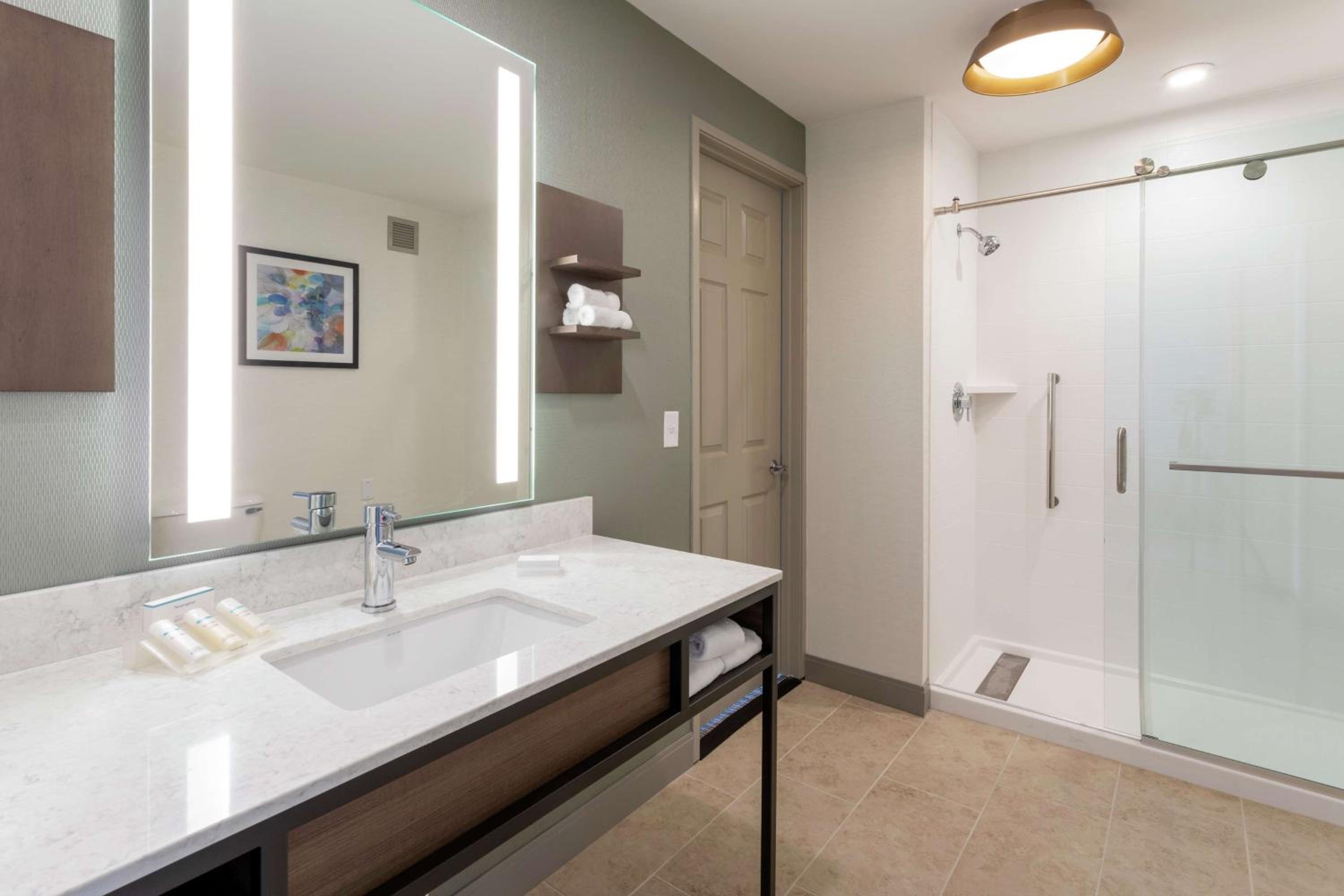 One-Bedroom King Suite - Photo 5