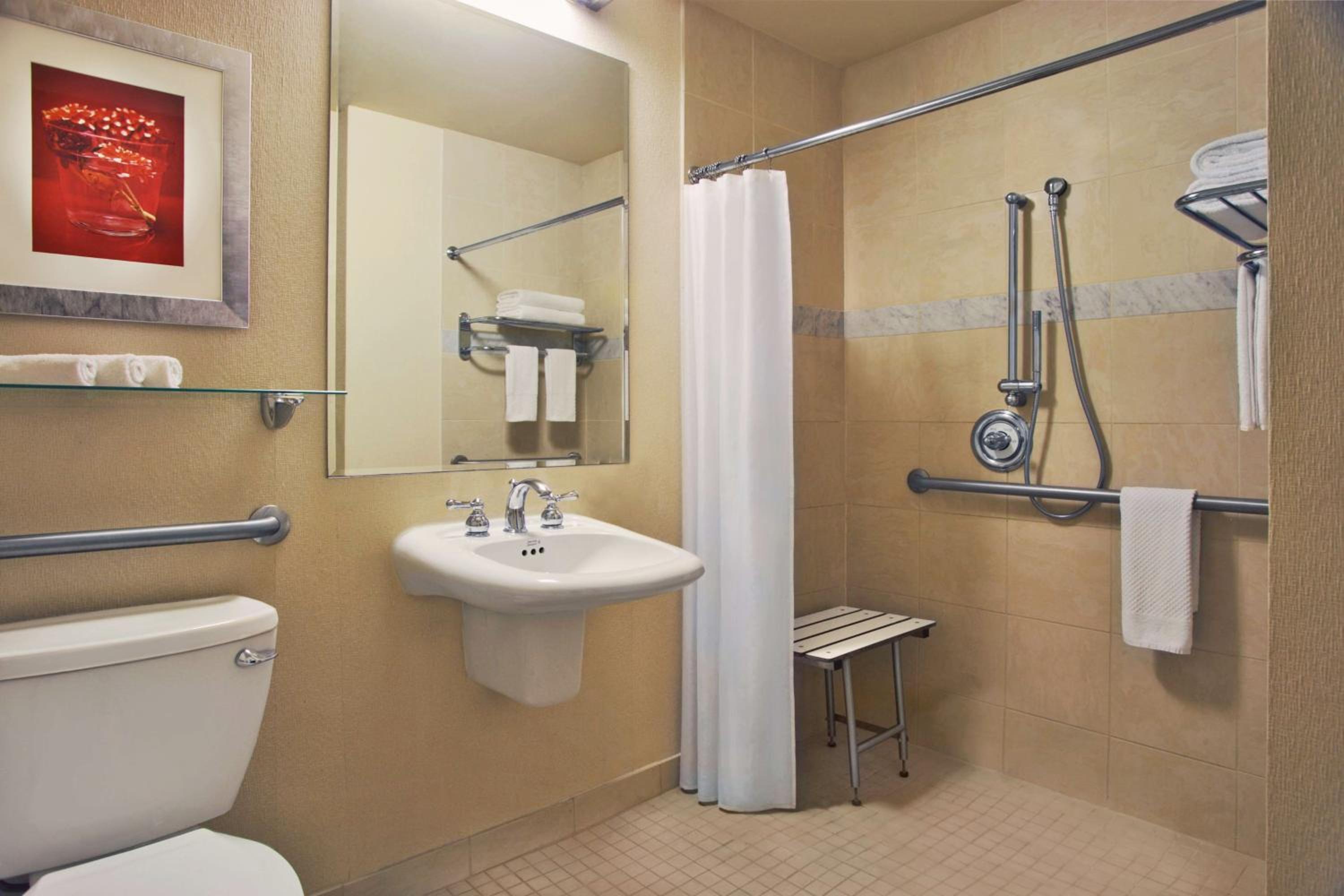 King Room with Roll-In Shower - Mobility Access - Photo 3