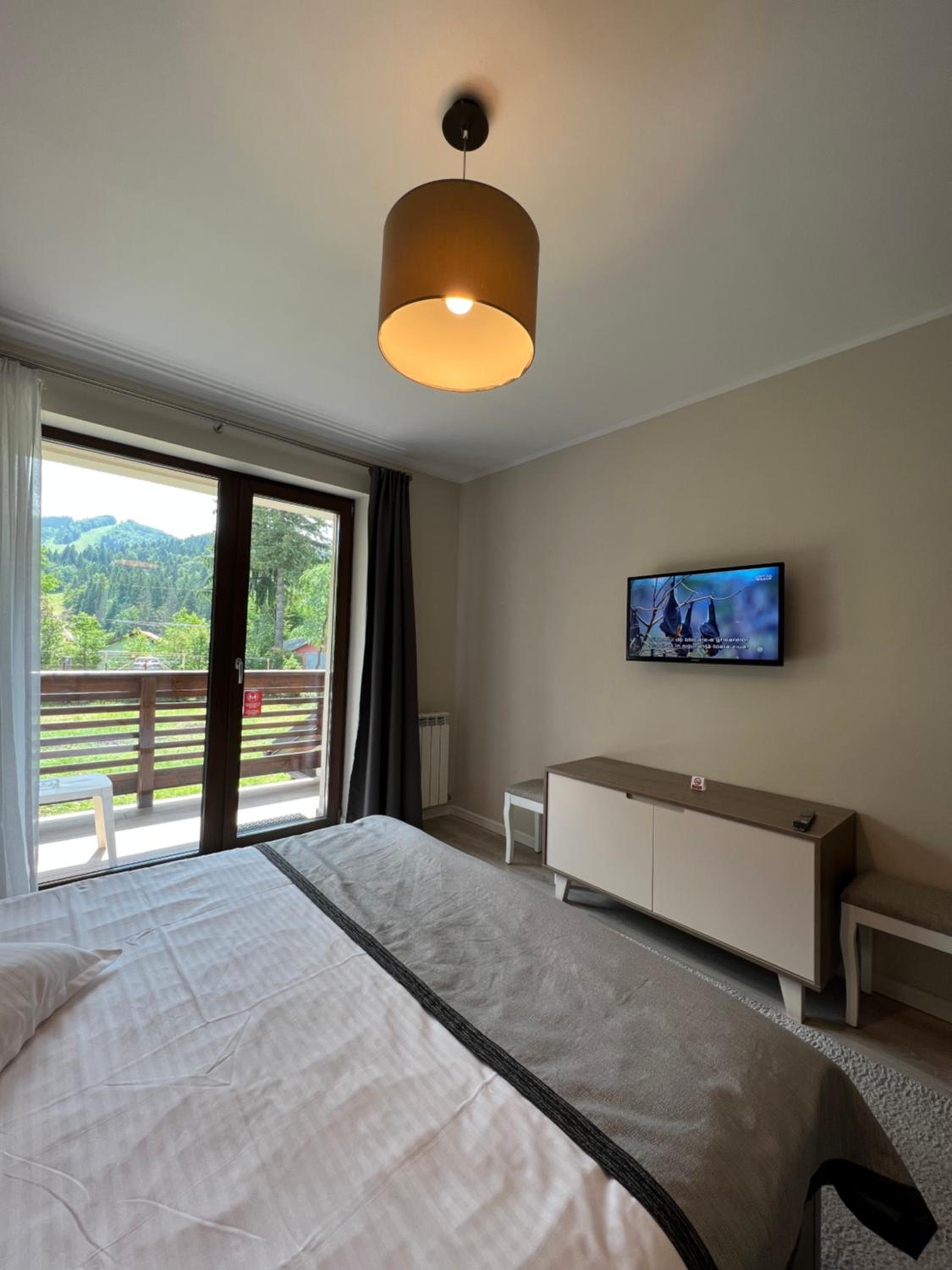 Apartment with Mountain View - First Floor - Photo 3
