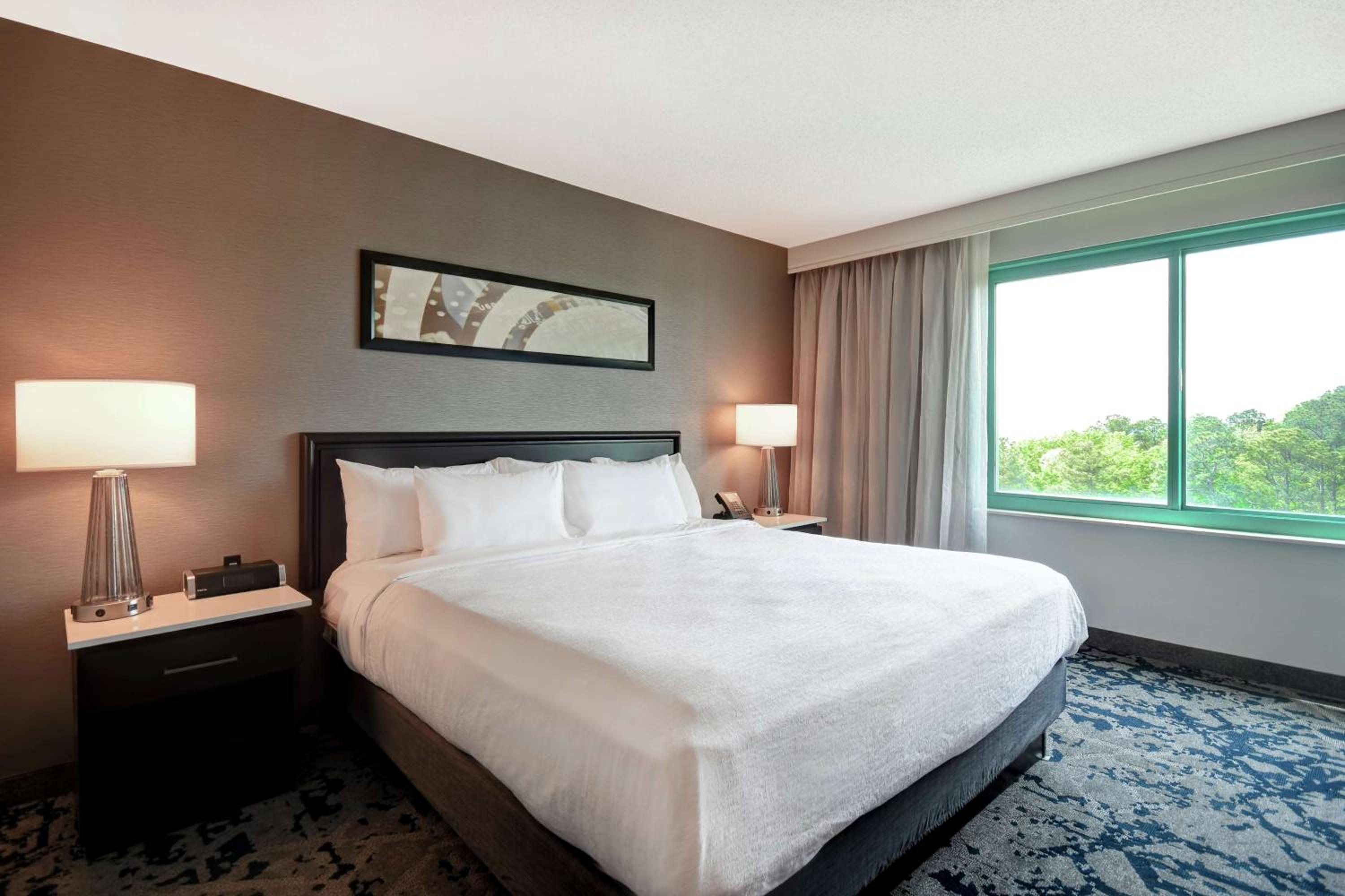 Two-Room King Suite - Non-Smoking - Photo 1