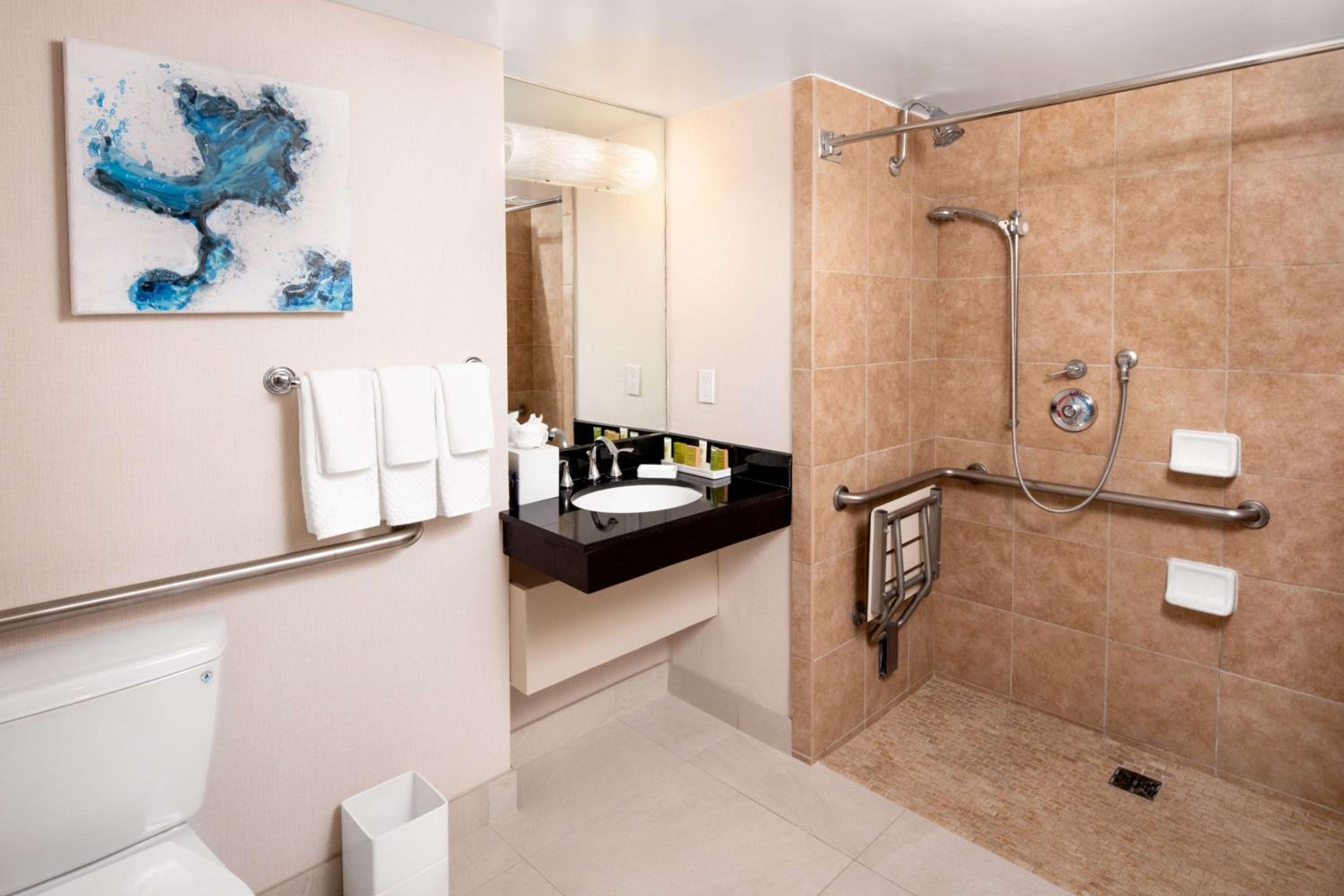 King Room with Roll-In Shower - Mobility Access