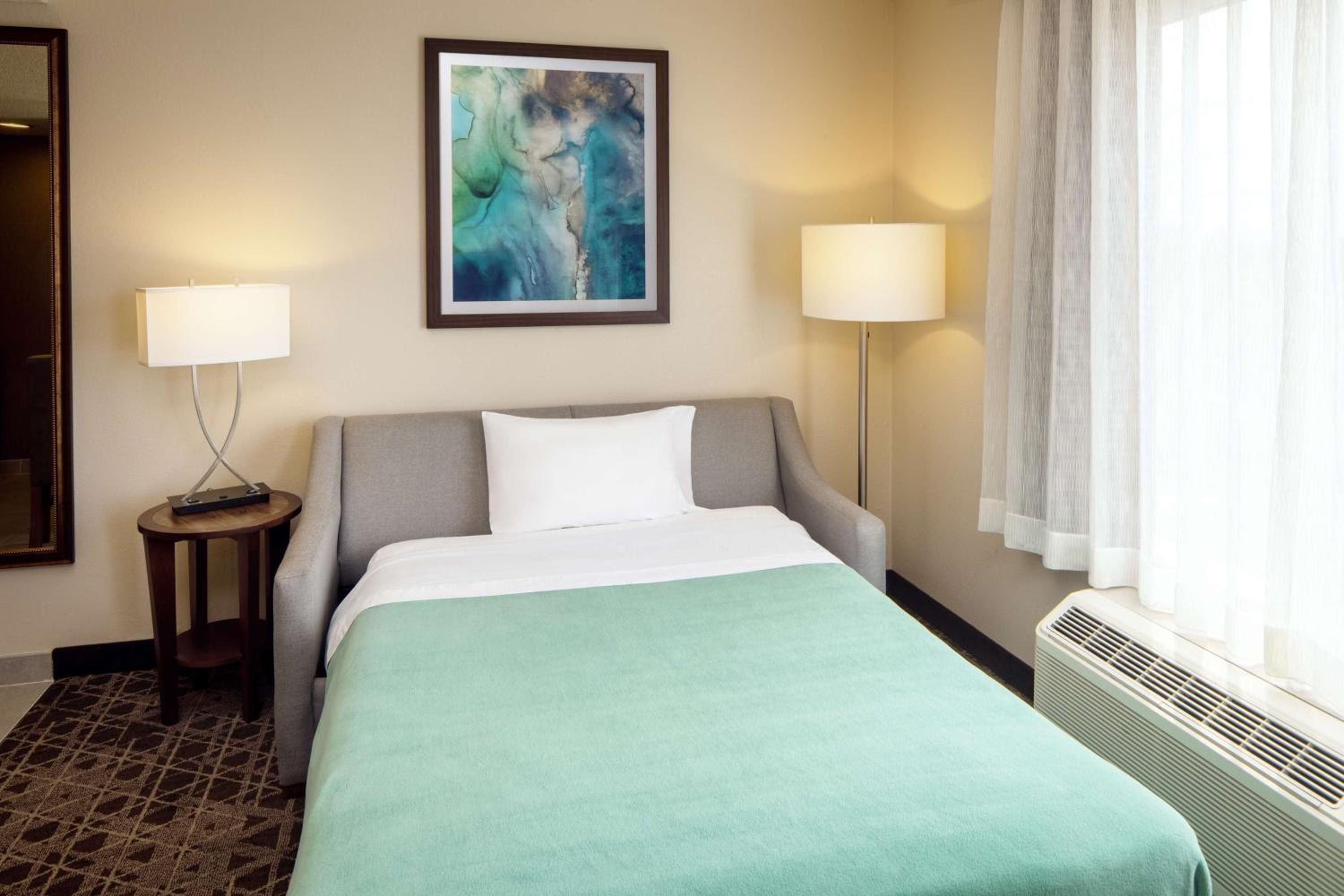 King Studio Suite - Photo 3