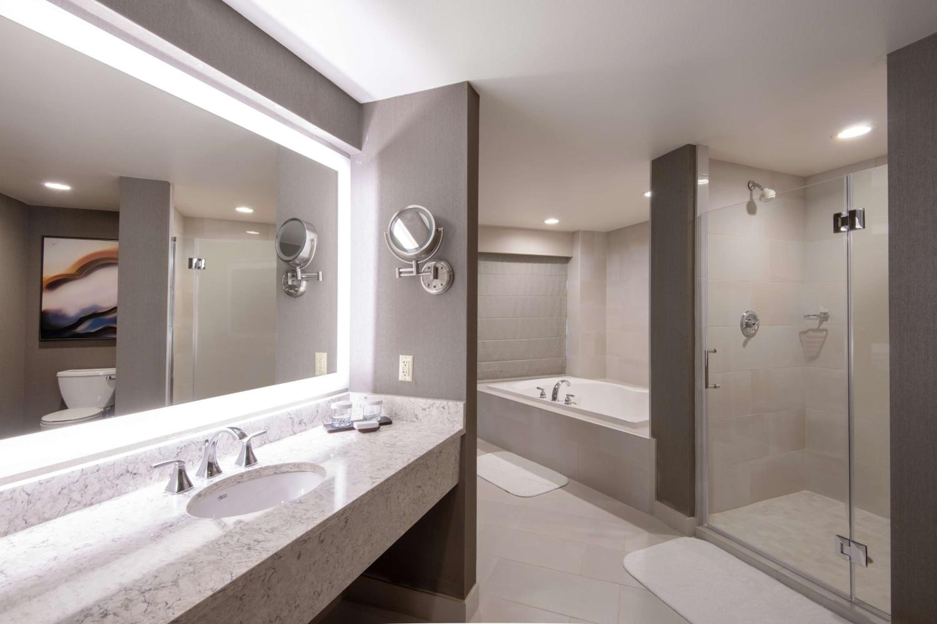 Two-Room Suite - Photo 6