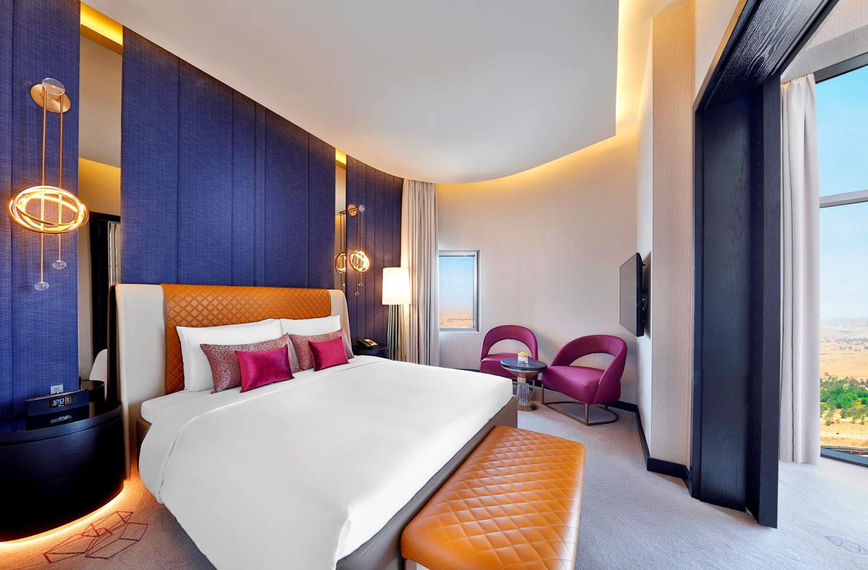 Deluxe King Suite photo 3