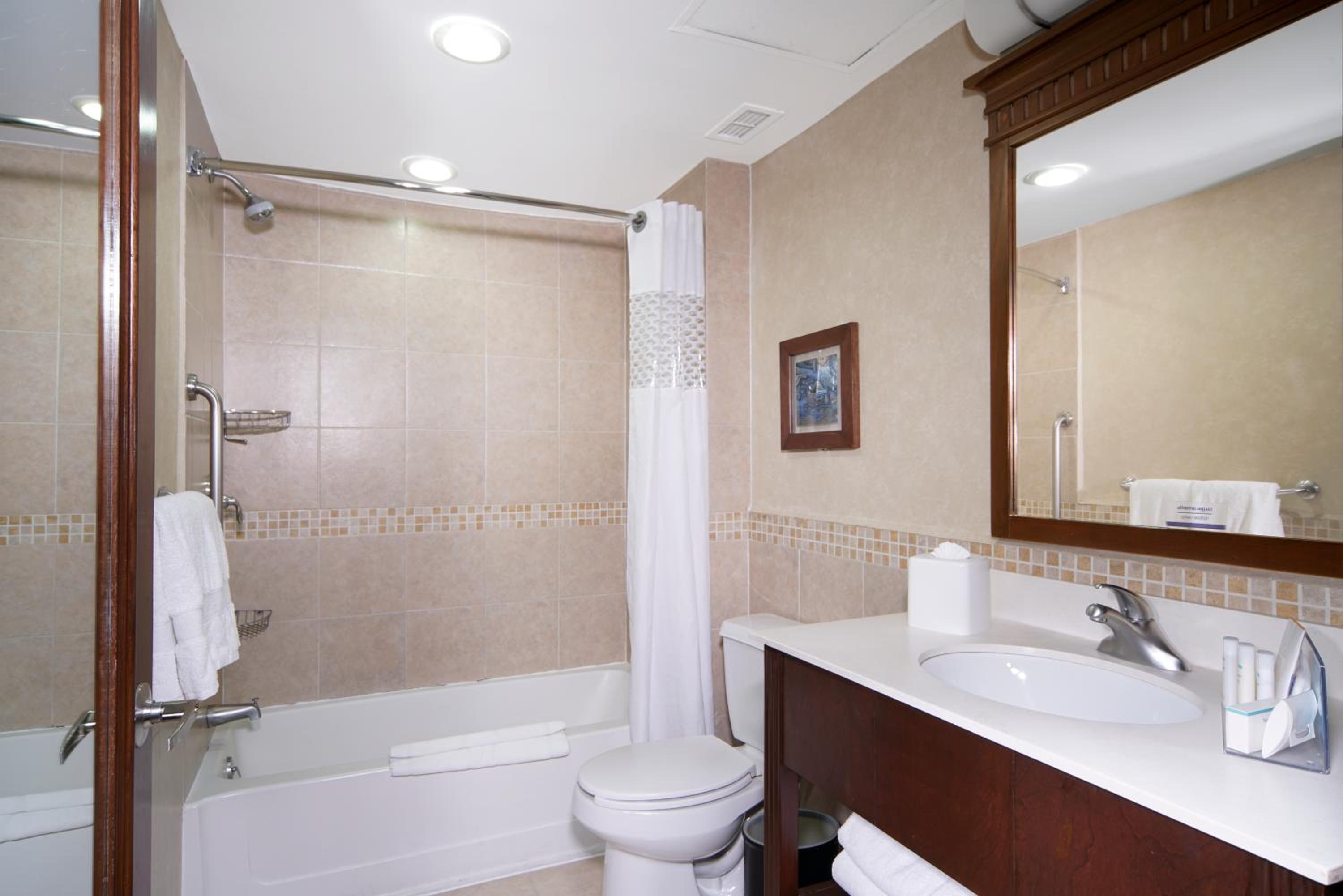 Non-Smoking Queen Suite with Sofa Bed - Photo 2