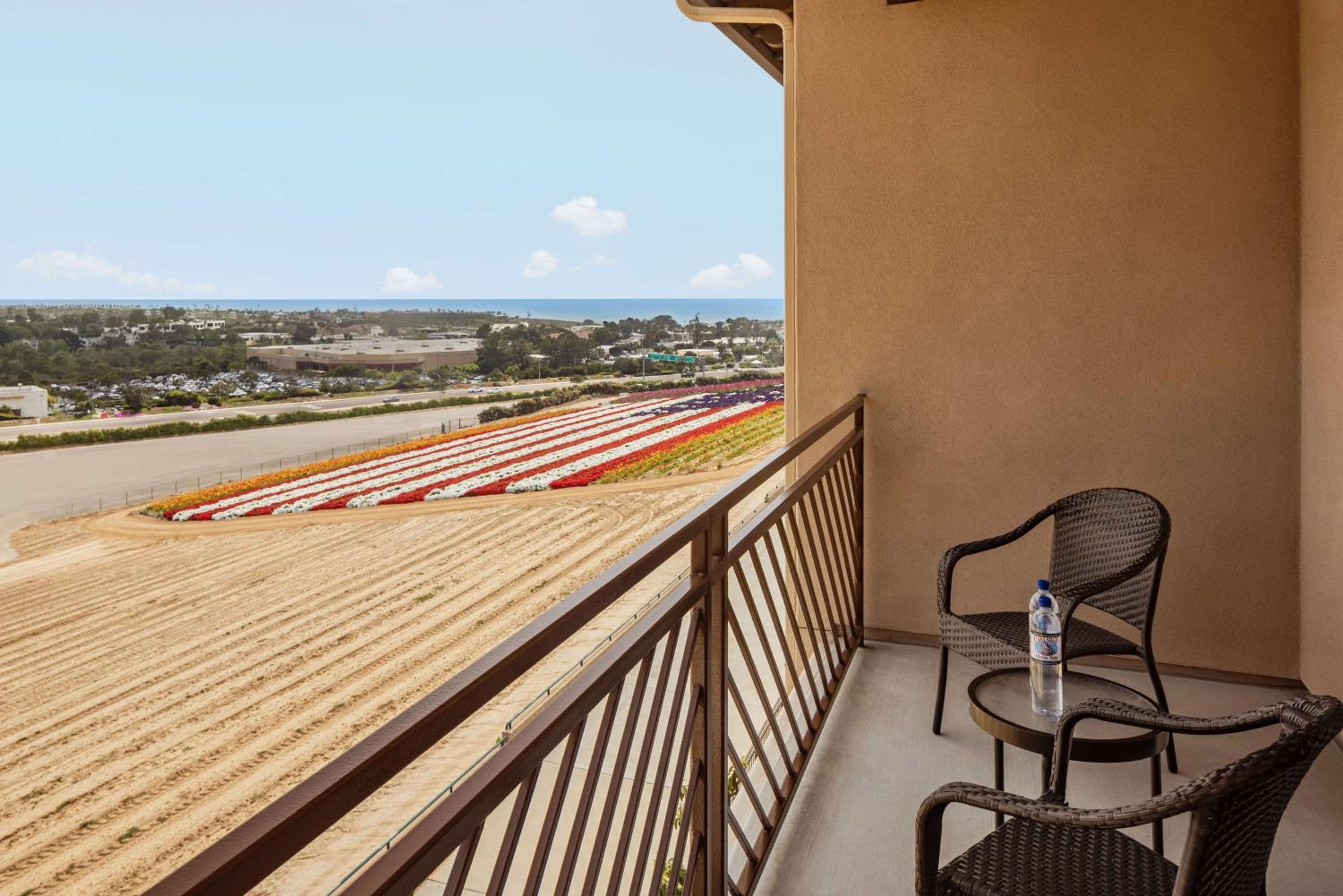 Premium Suite with Patio/Balcony - Photo 3