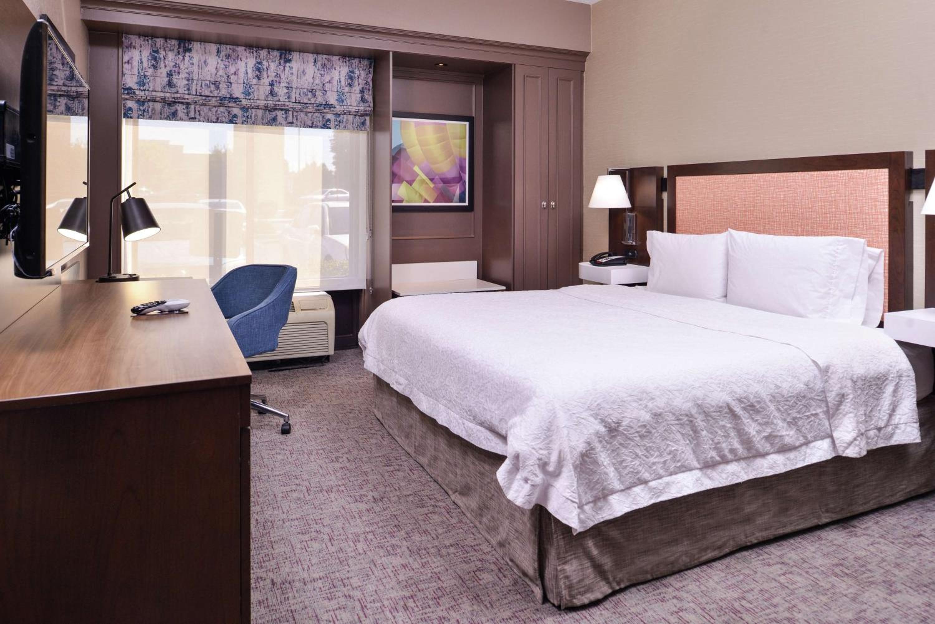 King Room with Roll-In Shower - Mobility Access/Non-Smoking - Photo 9