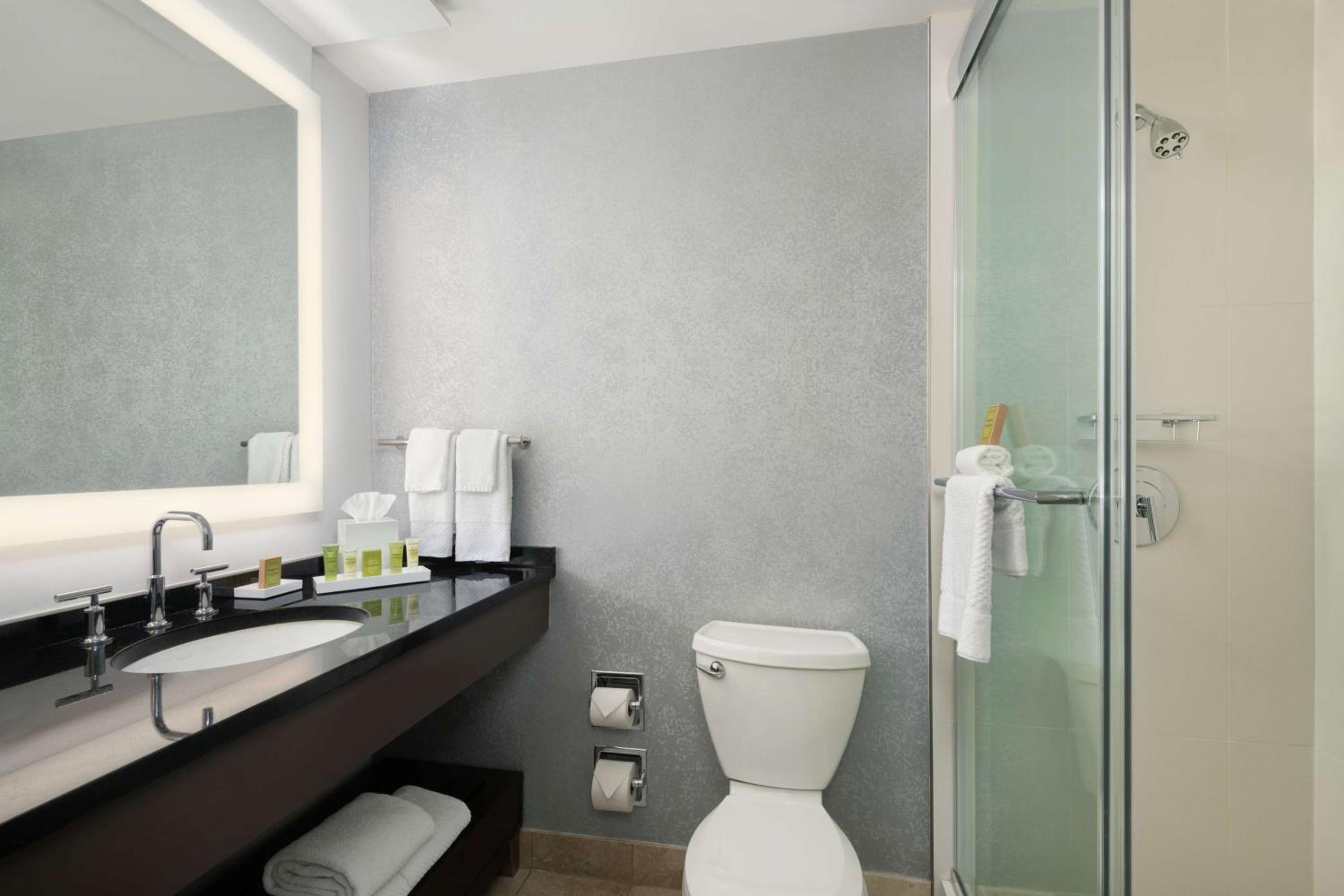 Premium King Room - Photo 4