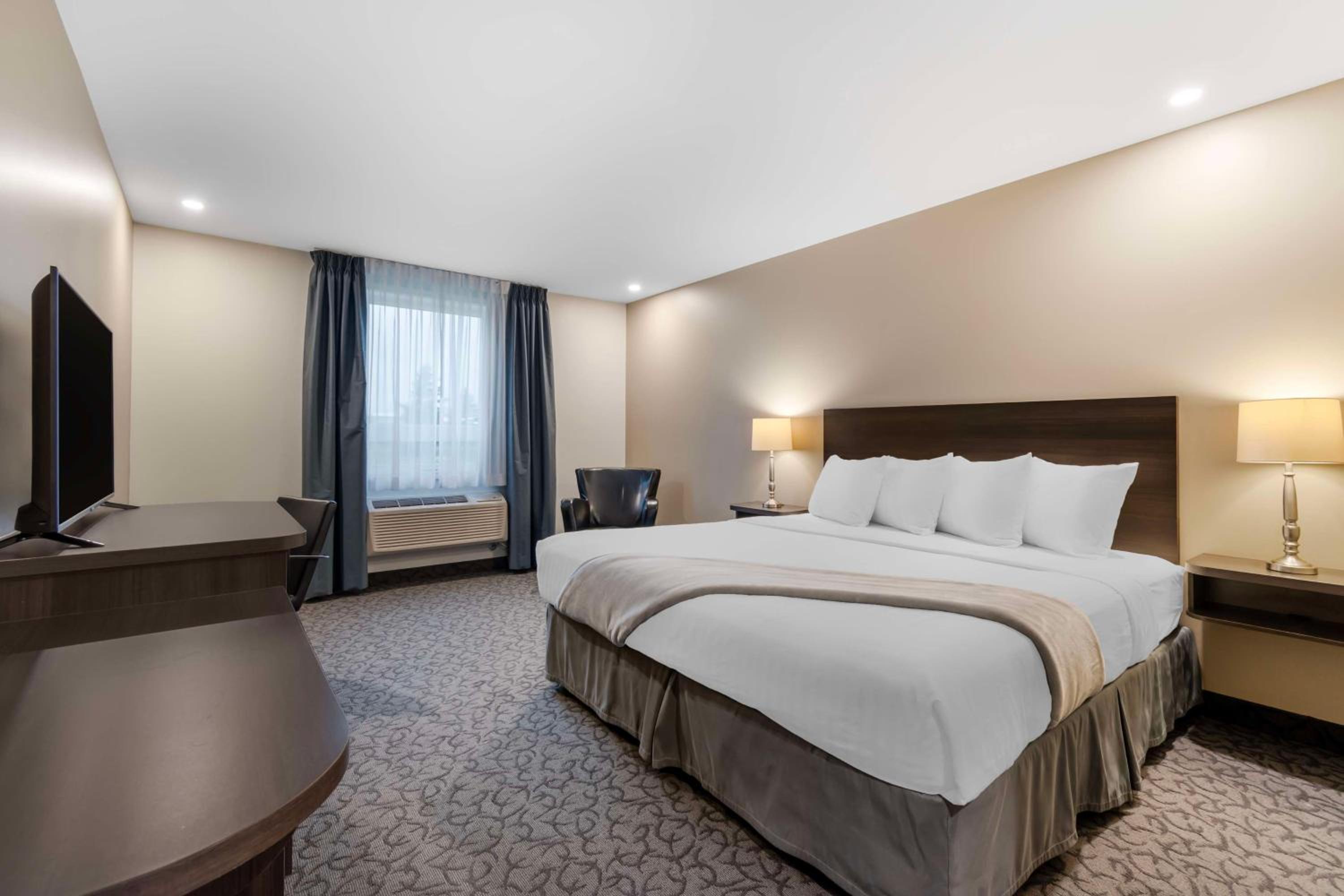 King Room - Non-Smoking - Photo 1